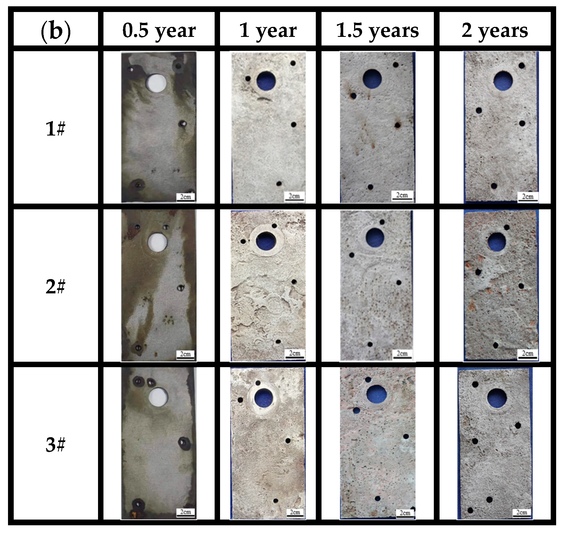 Metals 14 00903 g006b