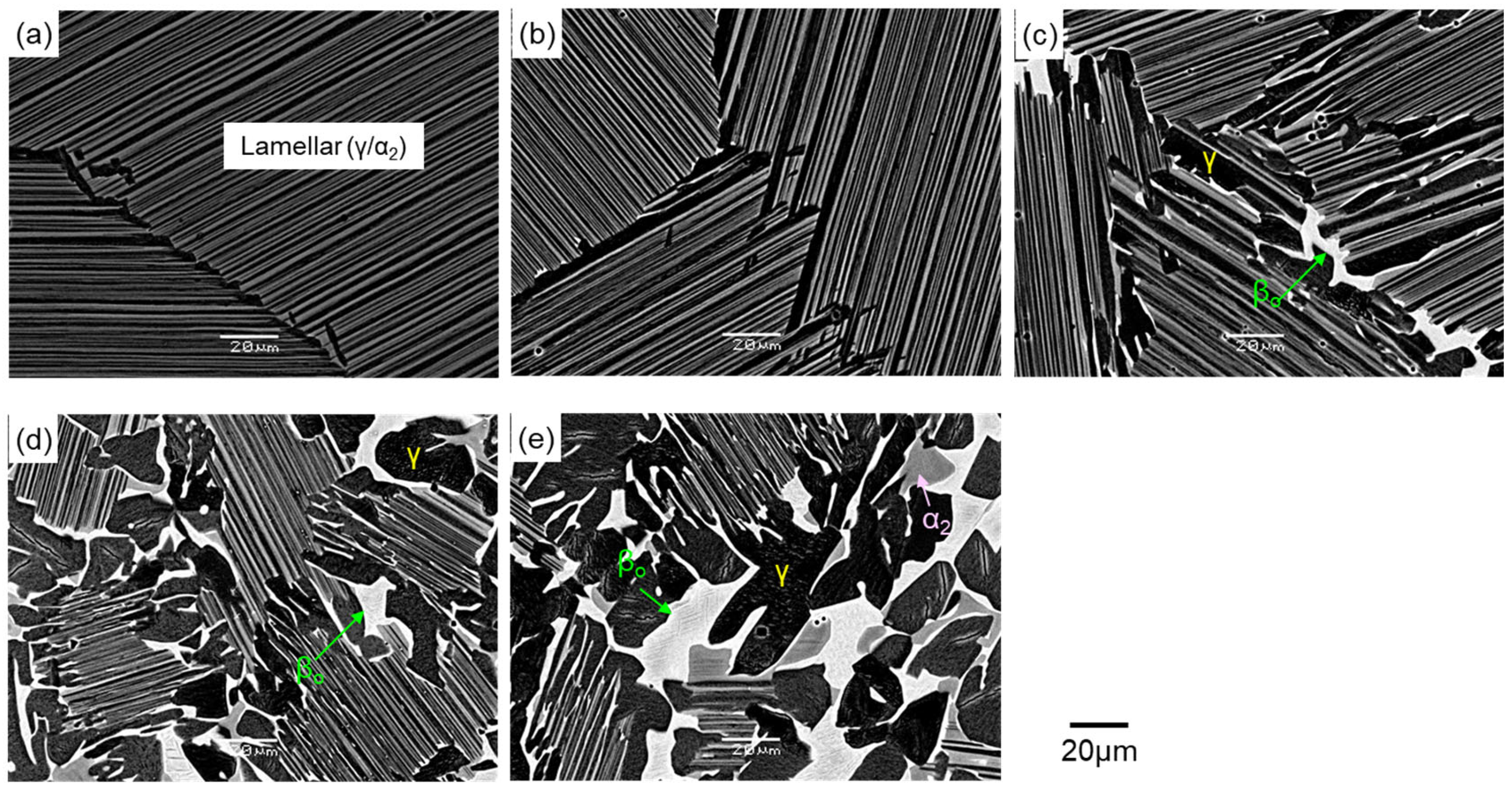 Metals 14 00908 g002