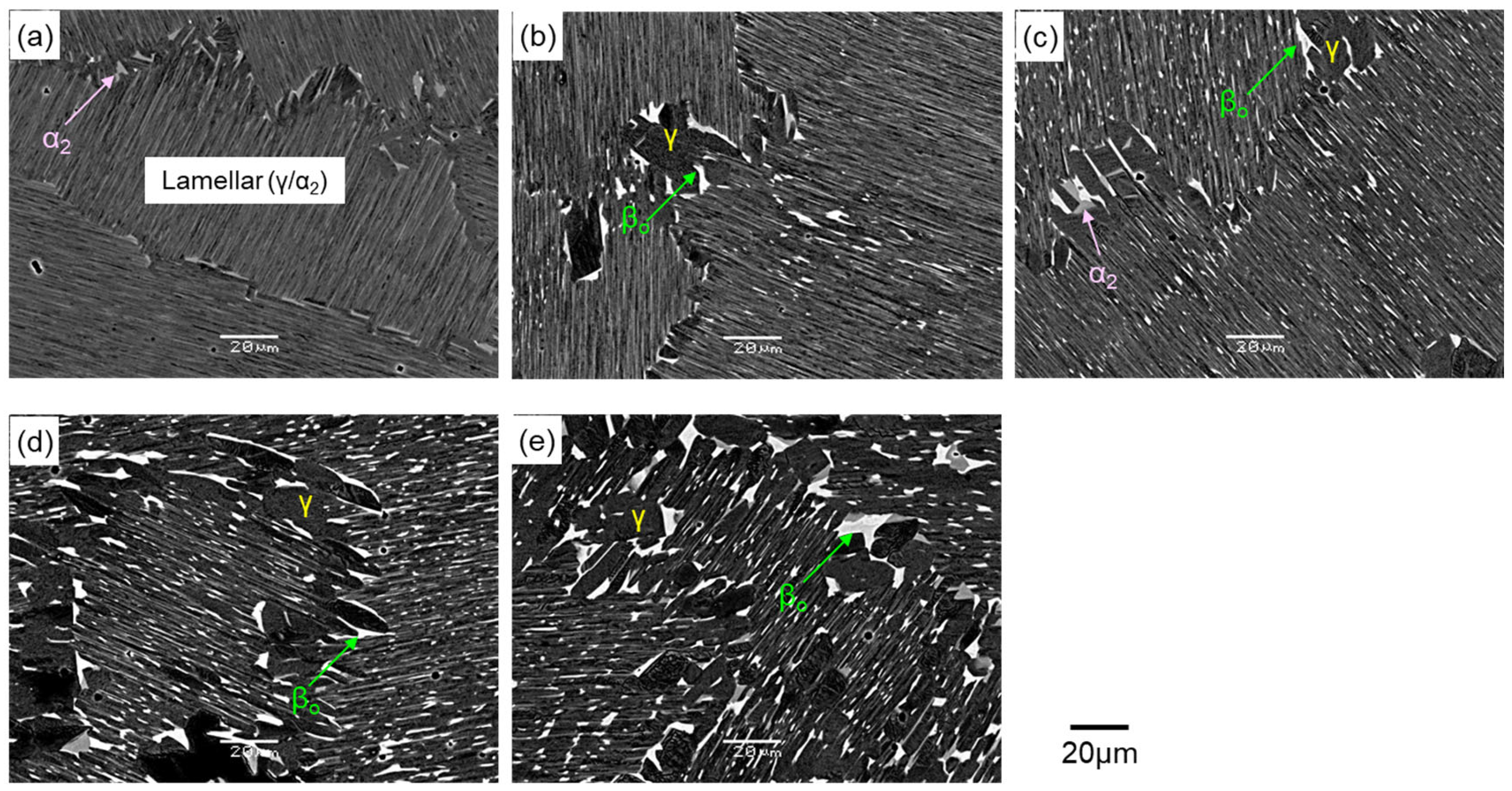 Metals 14 00908 g003