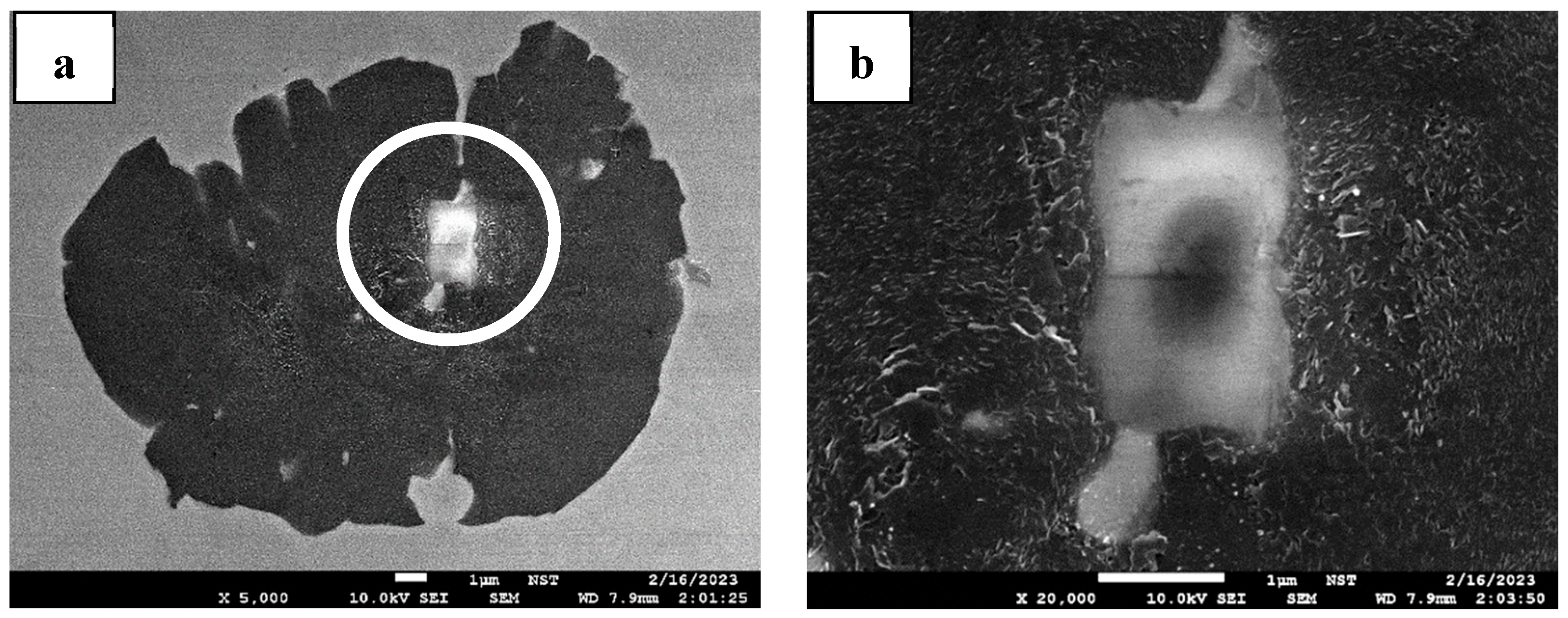 Metals 14 00915 g008 Metals 14 00915 g008