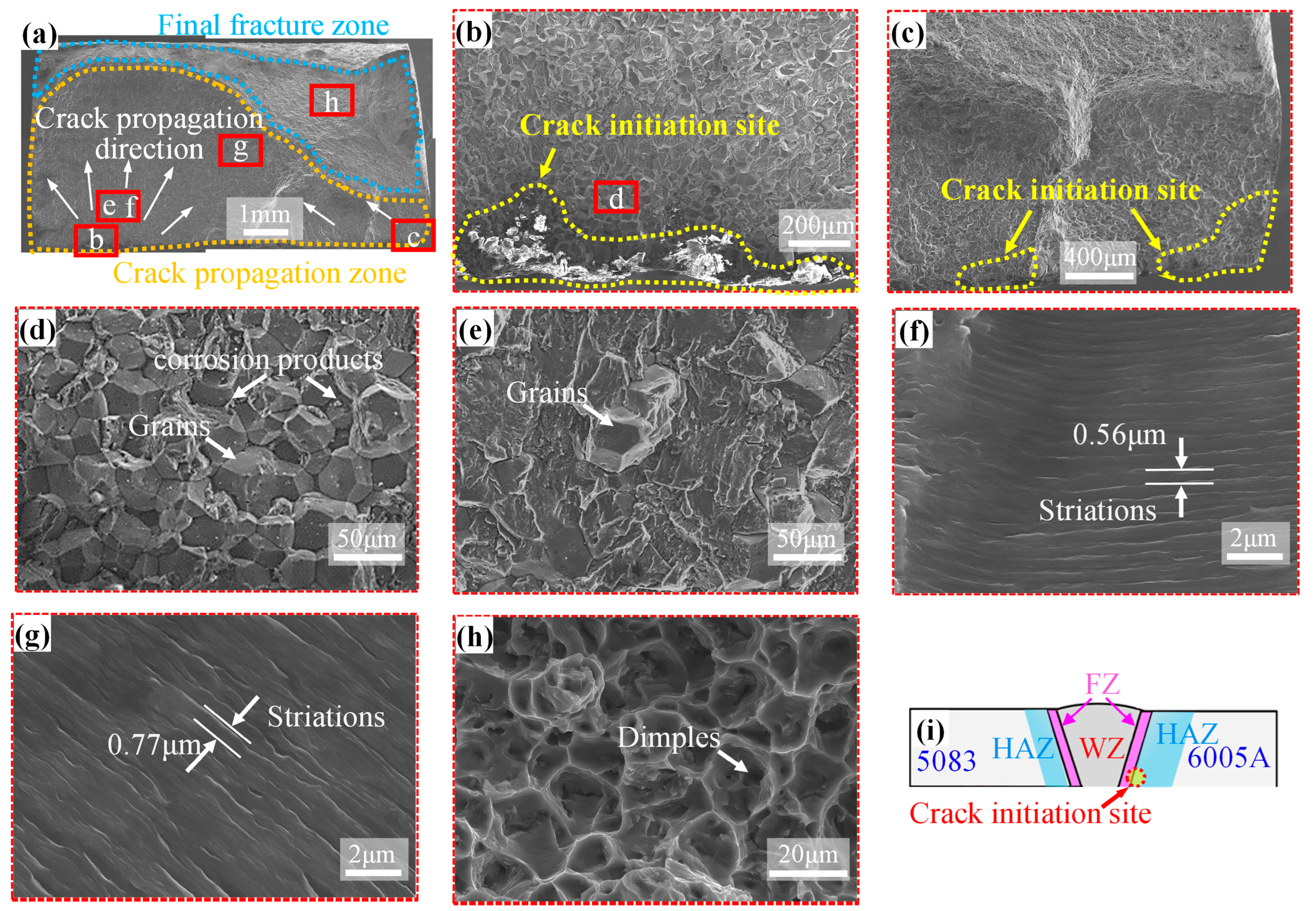 Metals 14 00925 g007