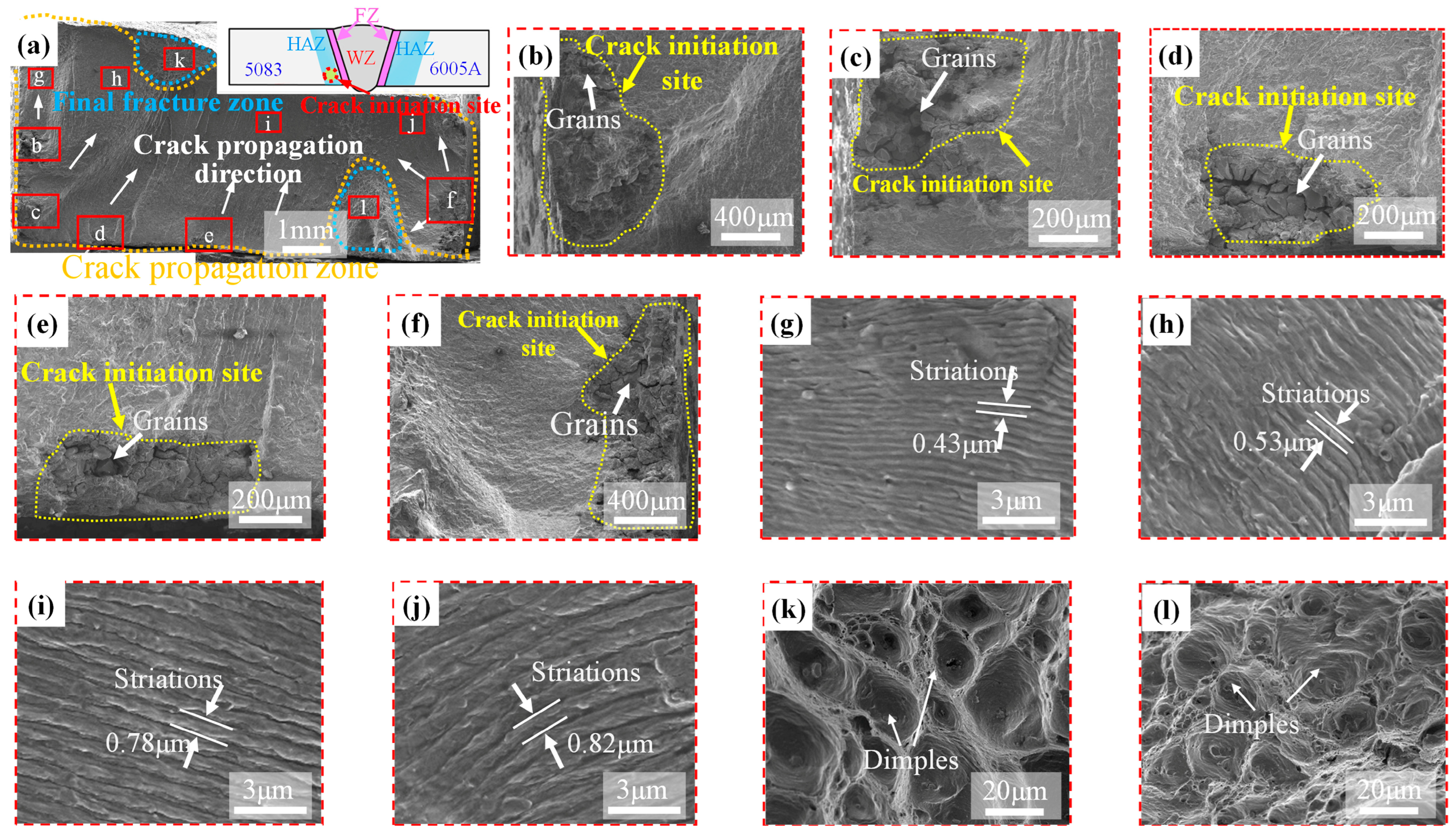 Metals 14 00925 g010