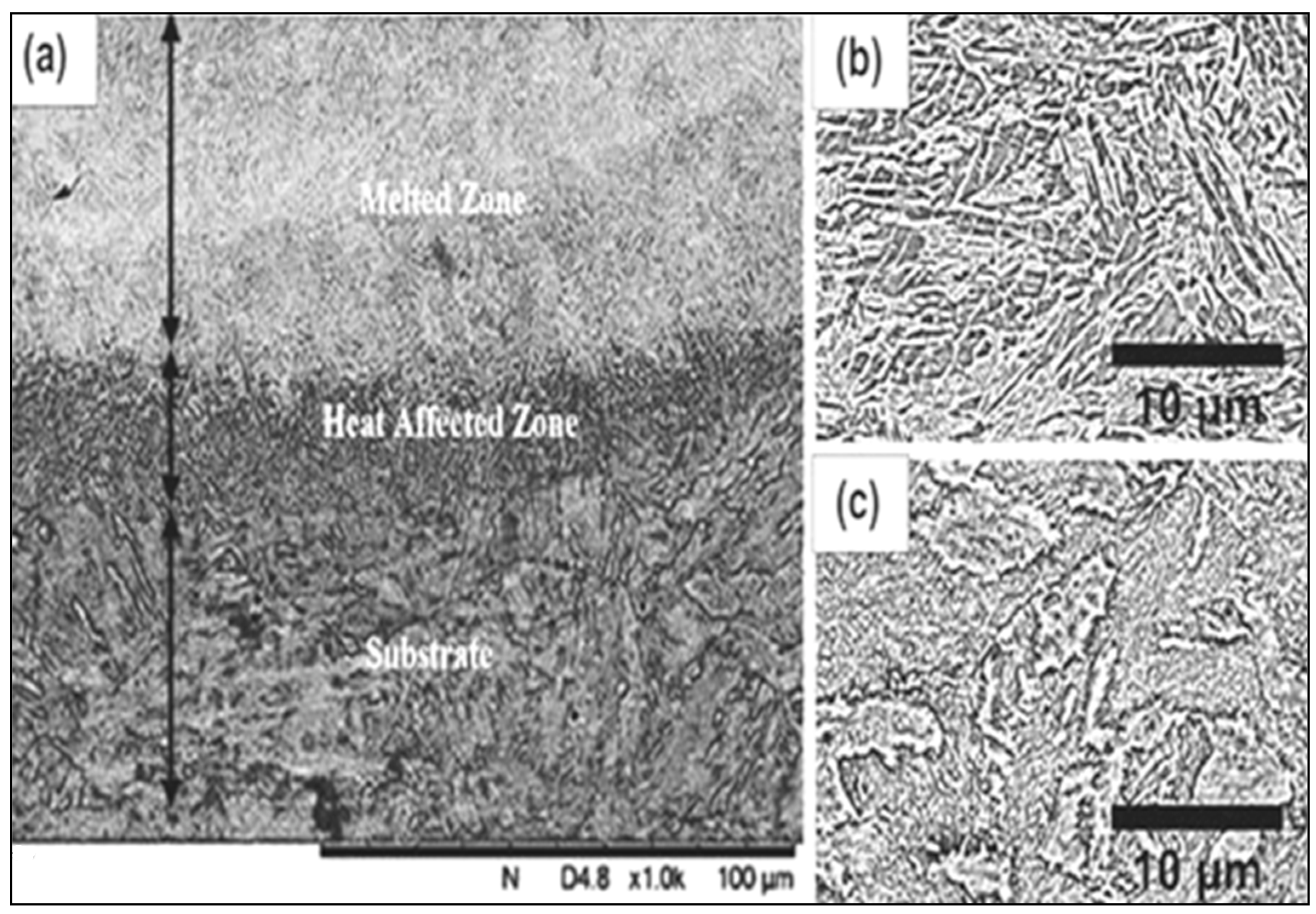 Metals 14 00928 g013