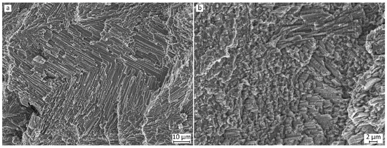 Metals 14 00934 g010