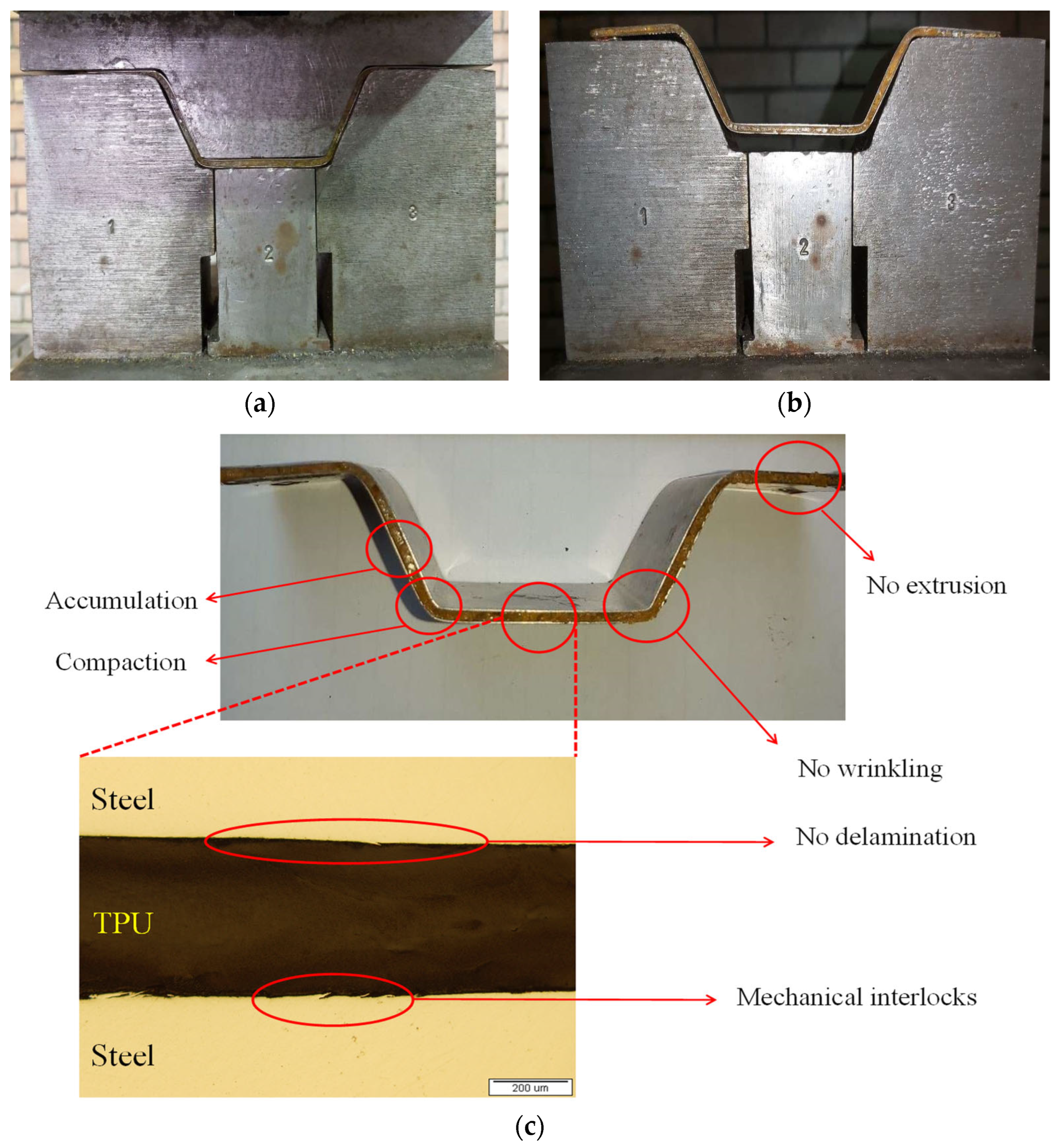 Metals 14 00935 g012