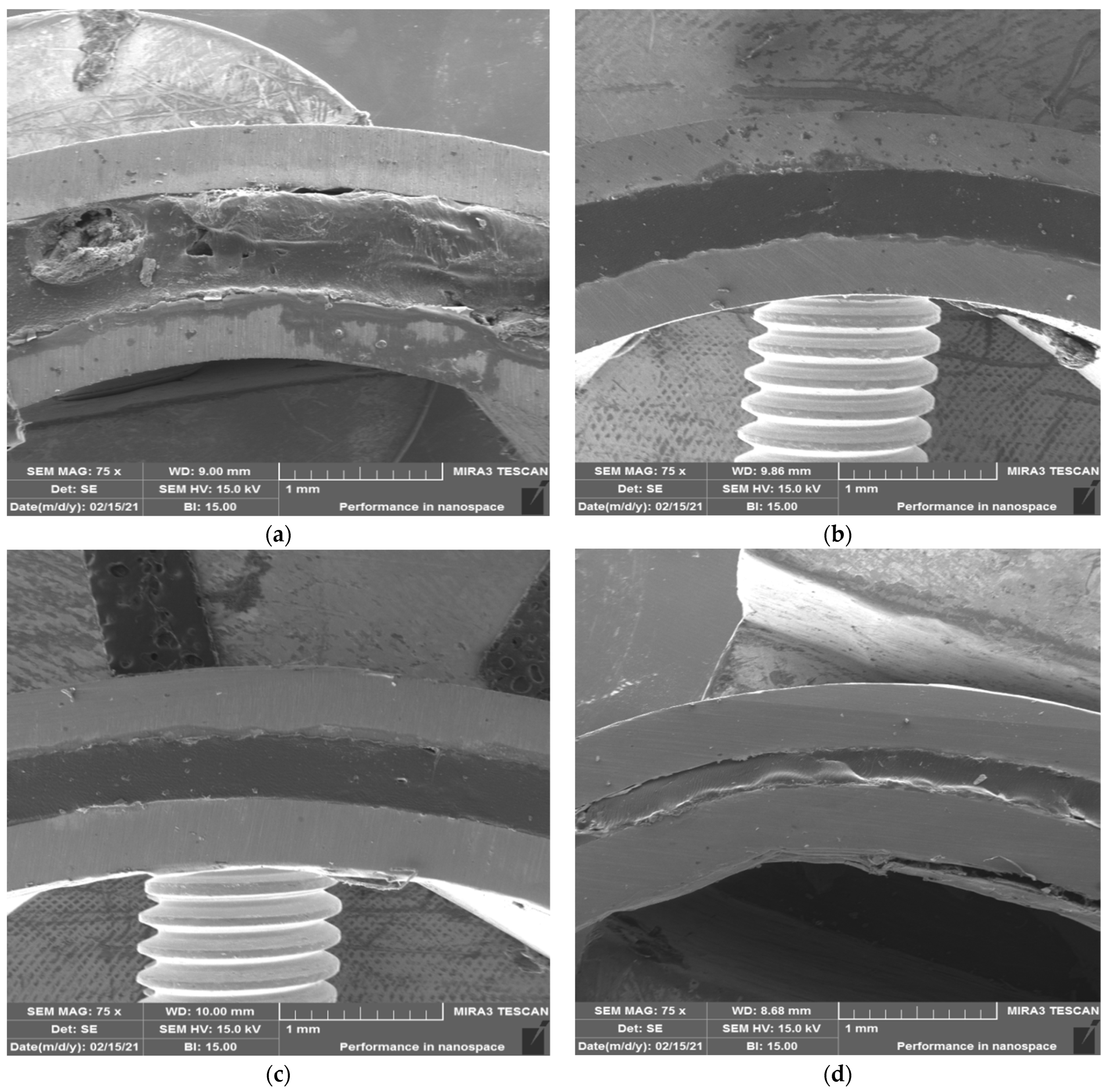 Metals 14 00935 g014