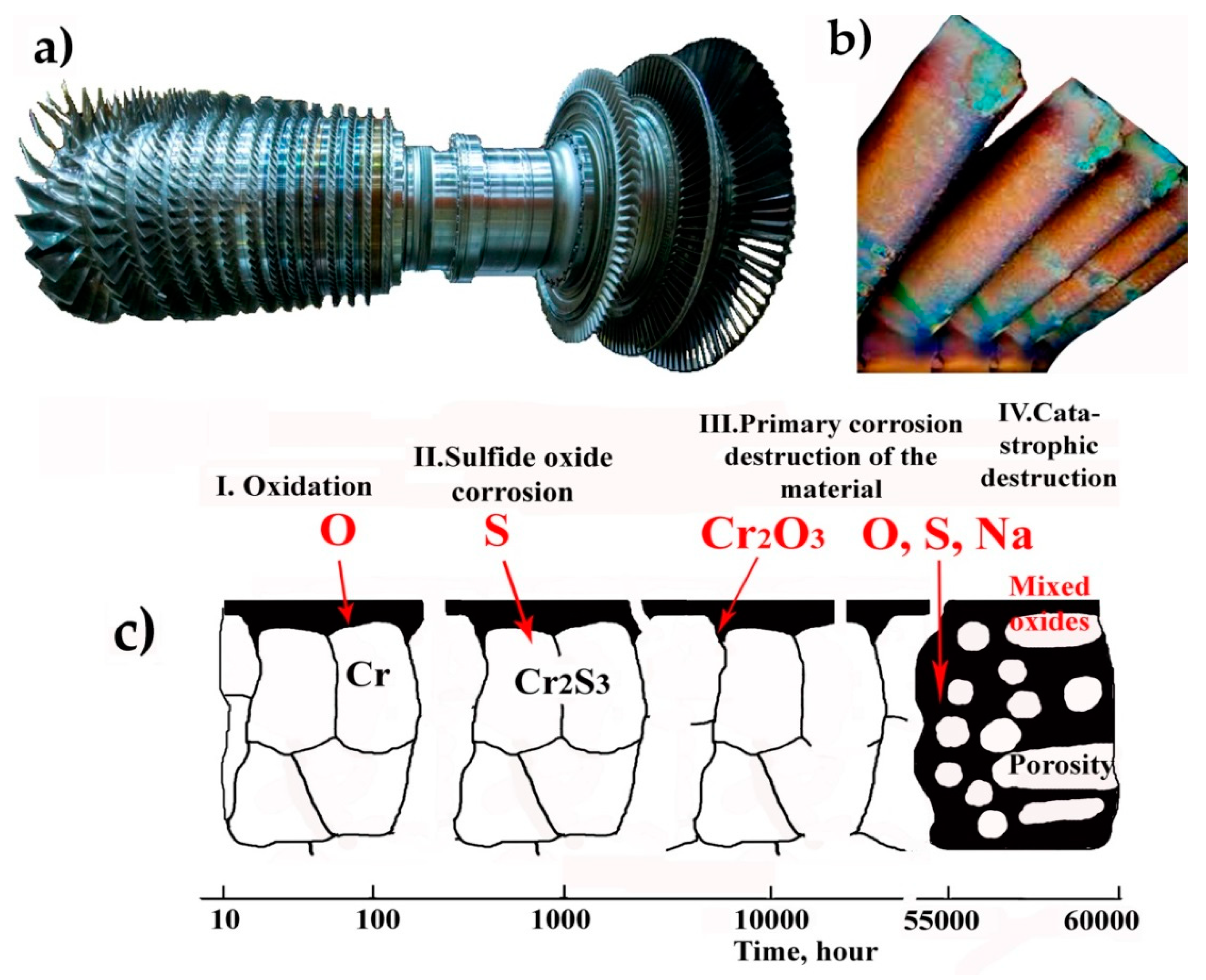 Metals 14 00939 g001
