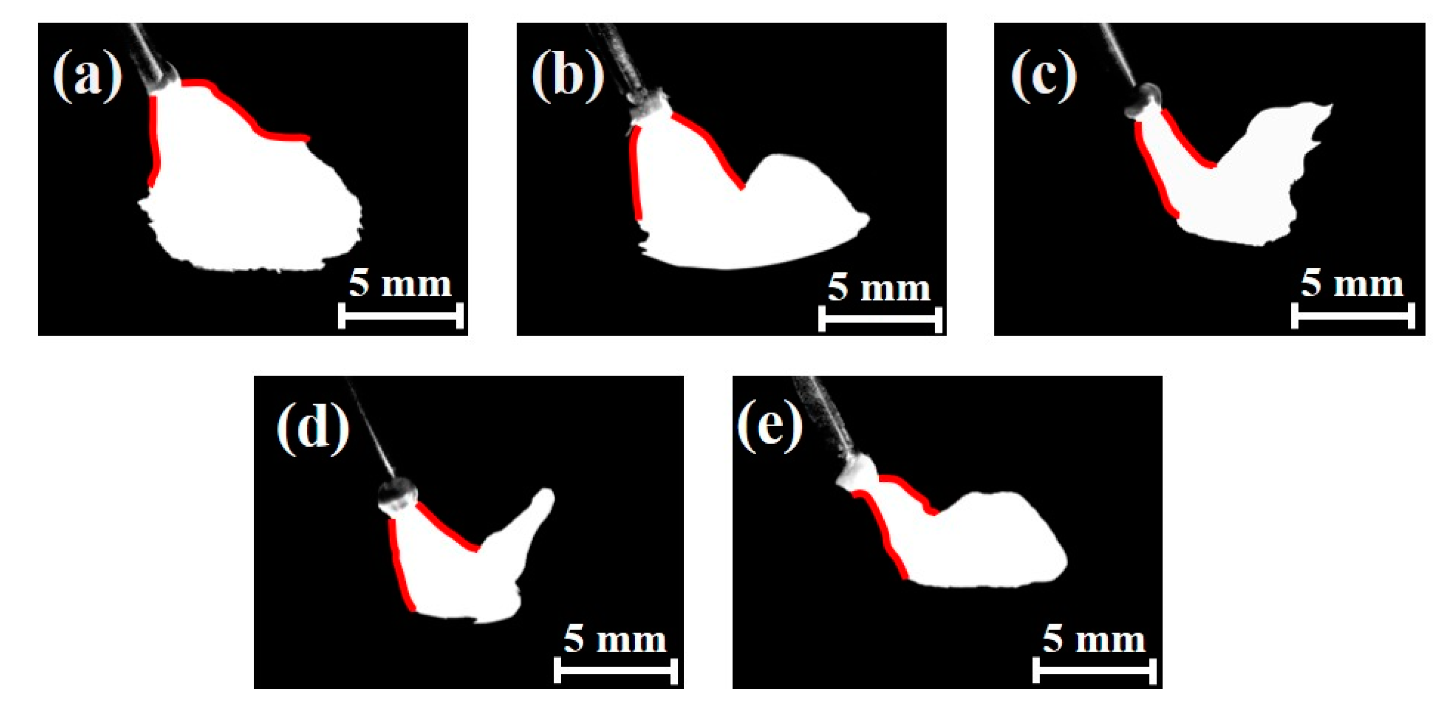 Metals 14 00946 g003