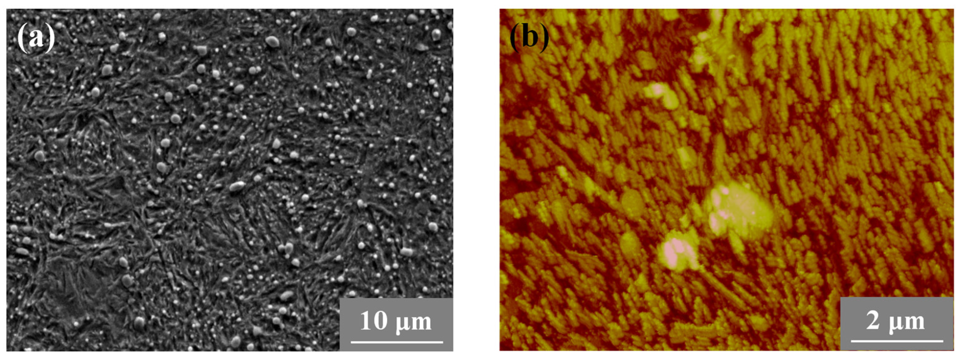 Metals 14 00948 g001