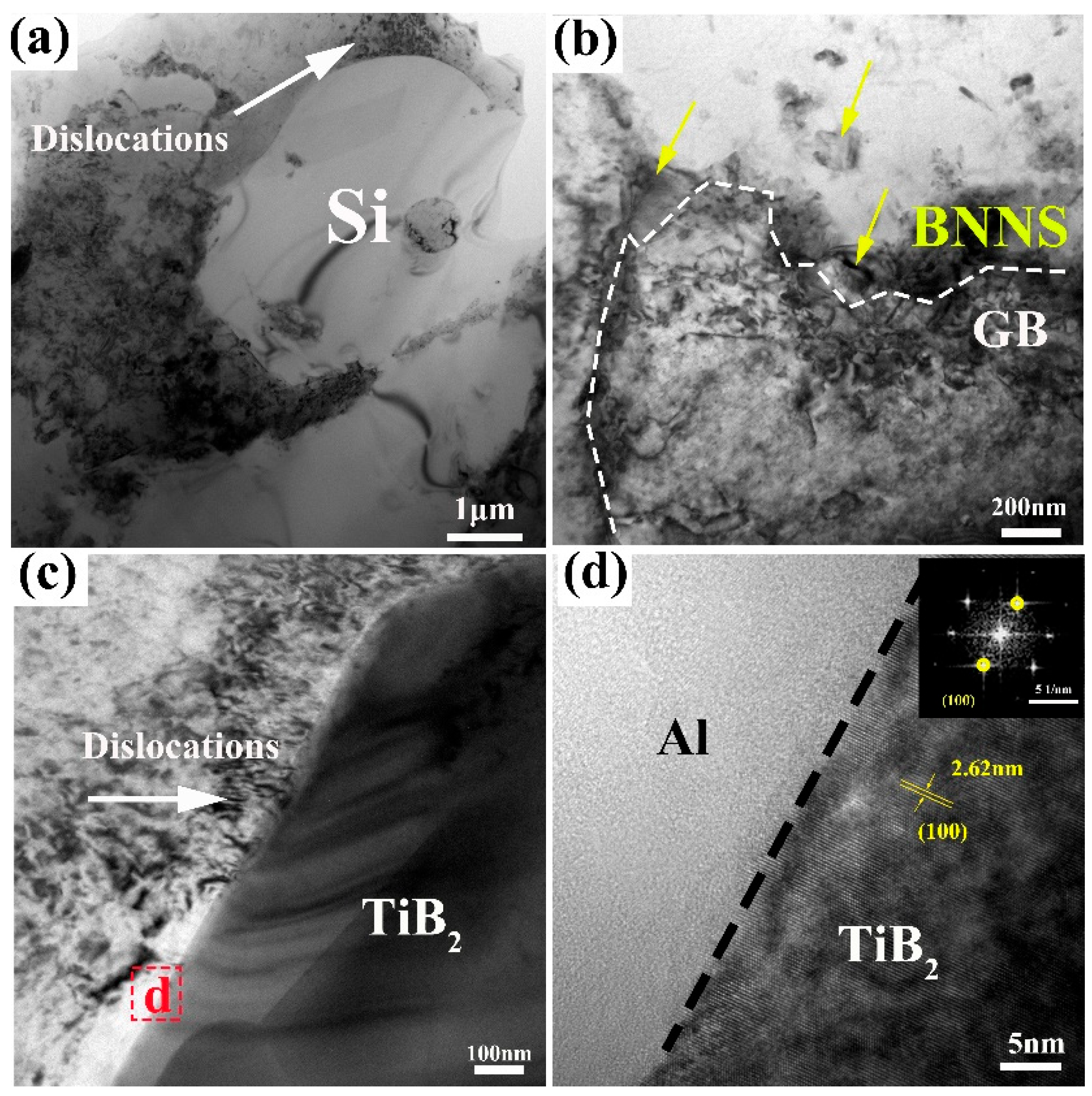 Metals 14 00957 g008