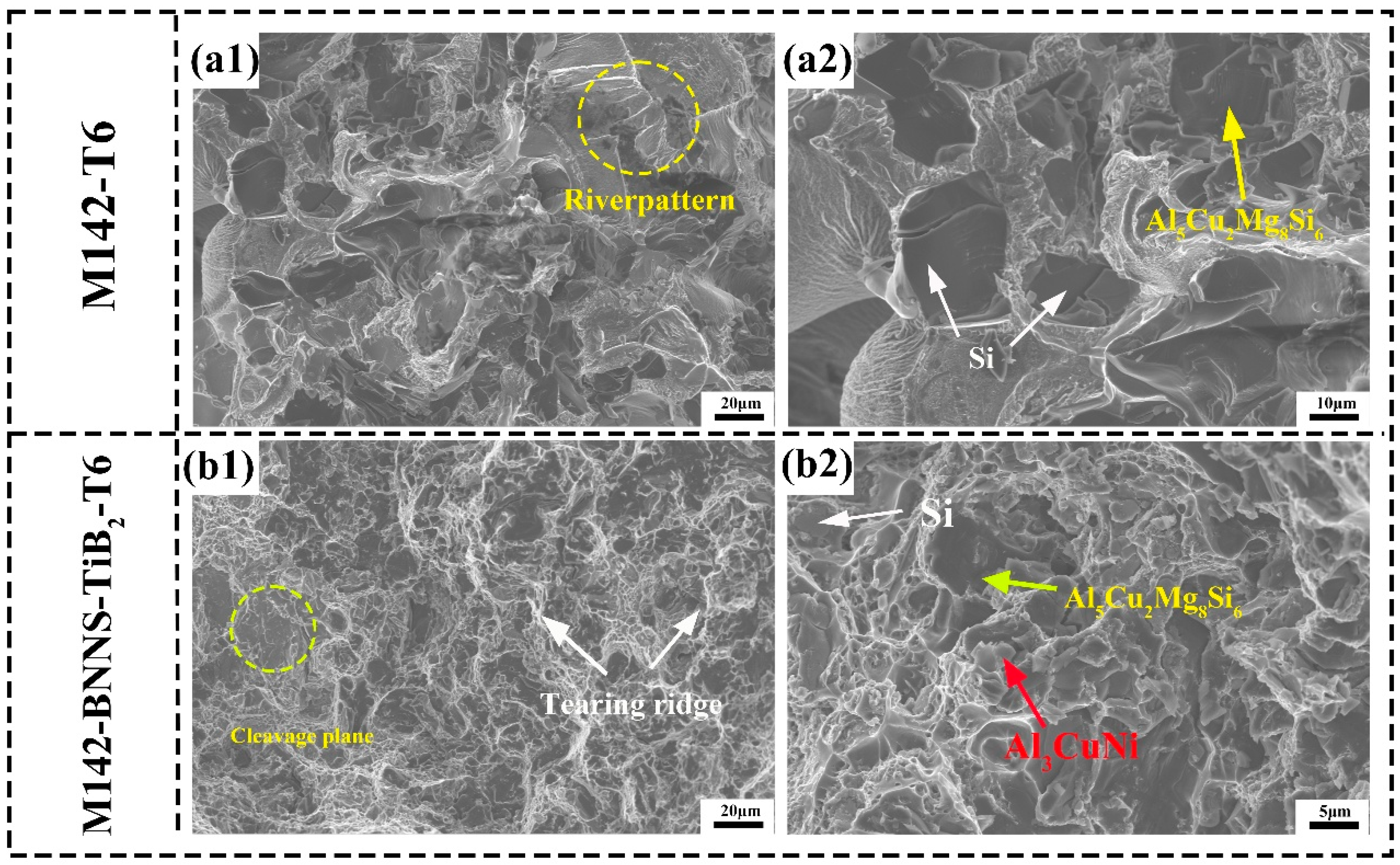 Metals 14 00957 g010