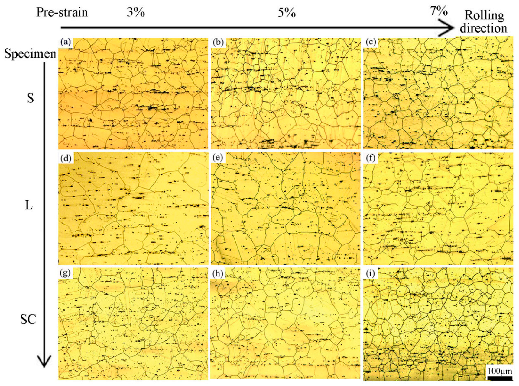 Metals 14 00960 g005