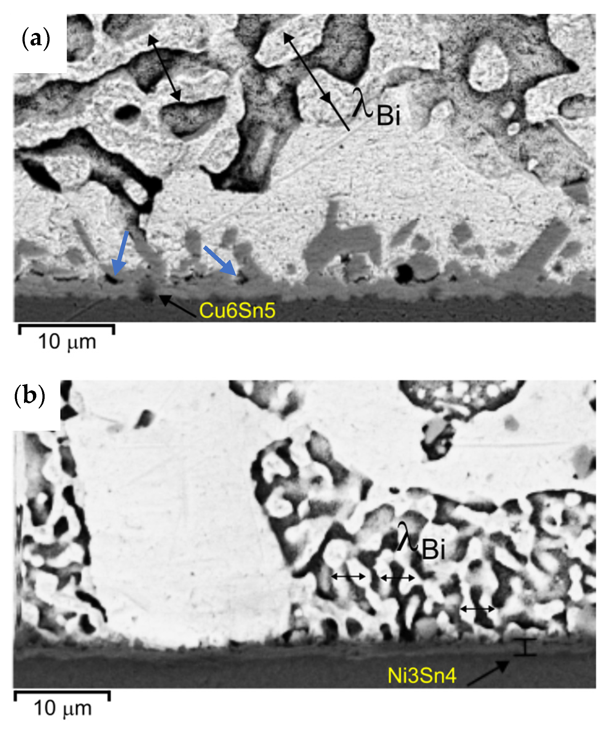 Metals 14 00963 g010