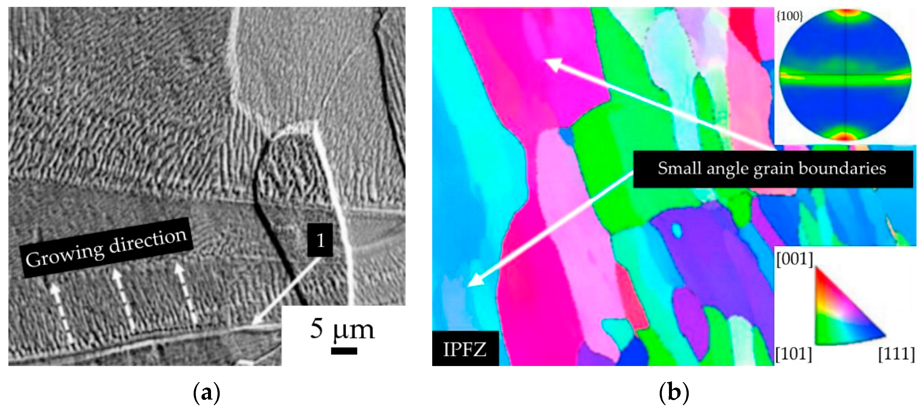 Metals 14 00966 g003