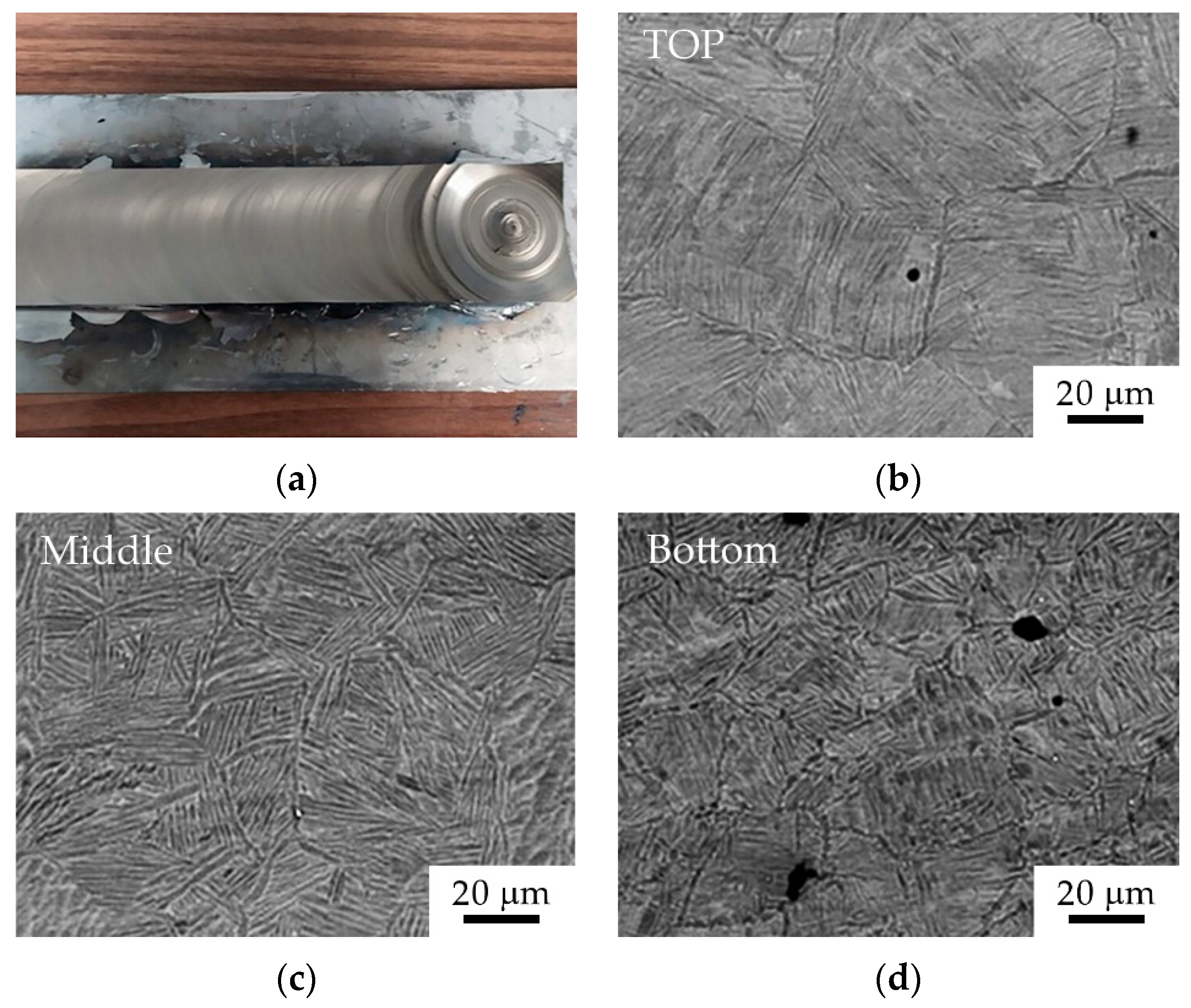 Metals 14 00966 g007