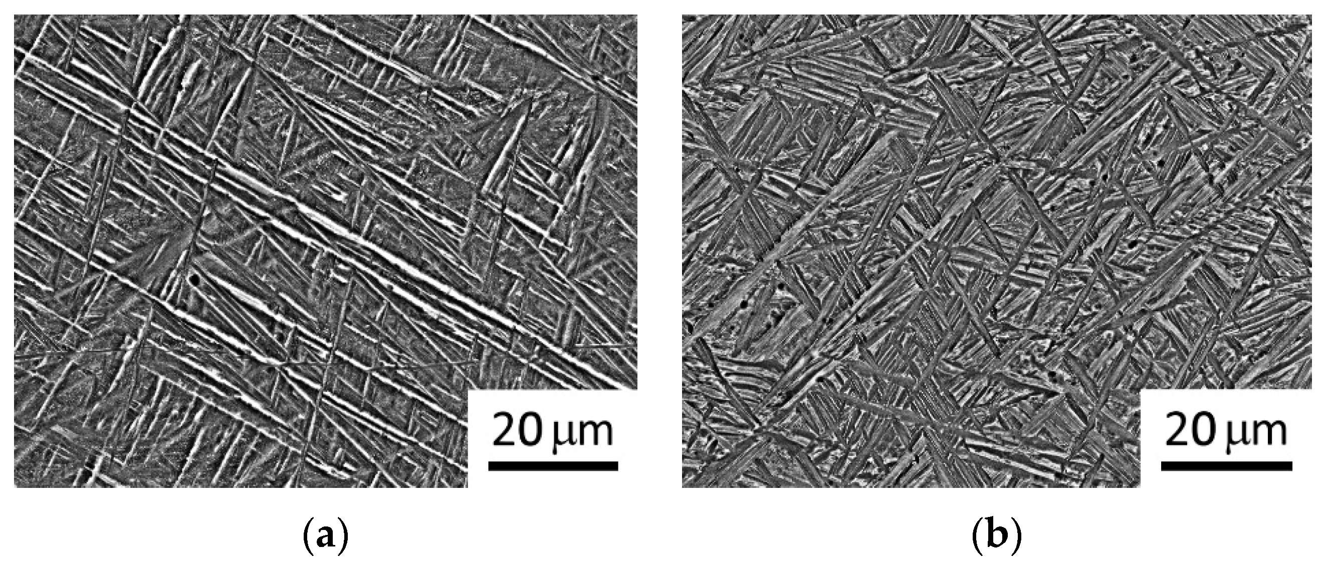 Metals 14 00966 g011