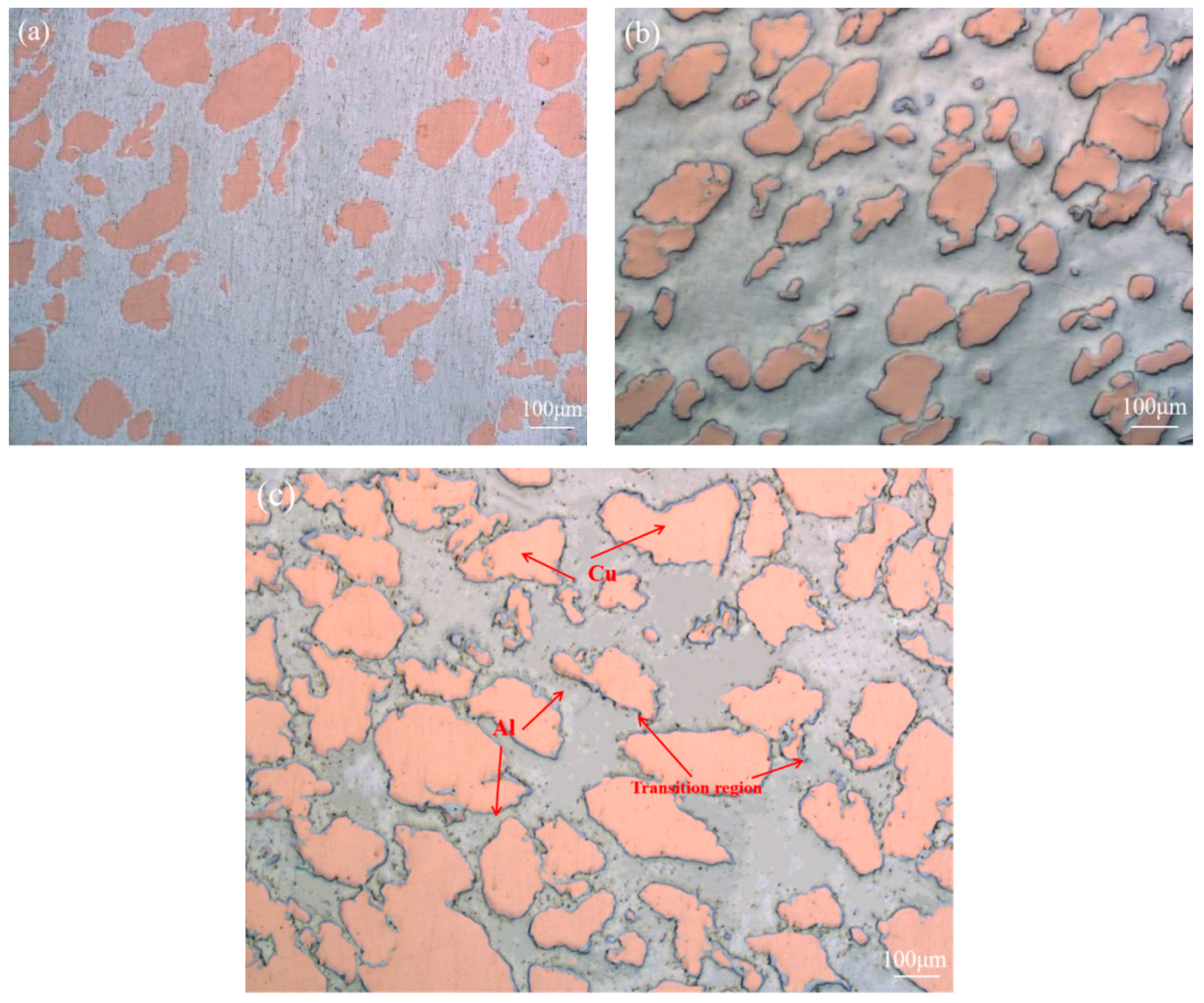 Metals 14 00978 g004