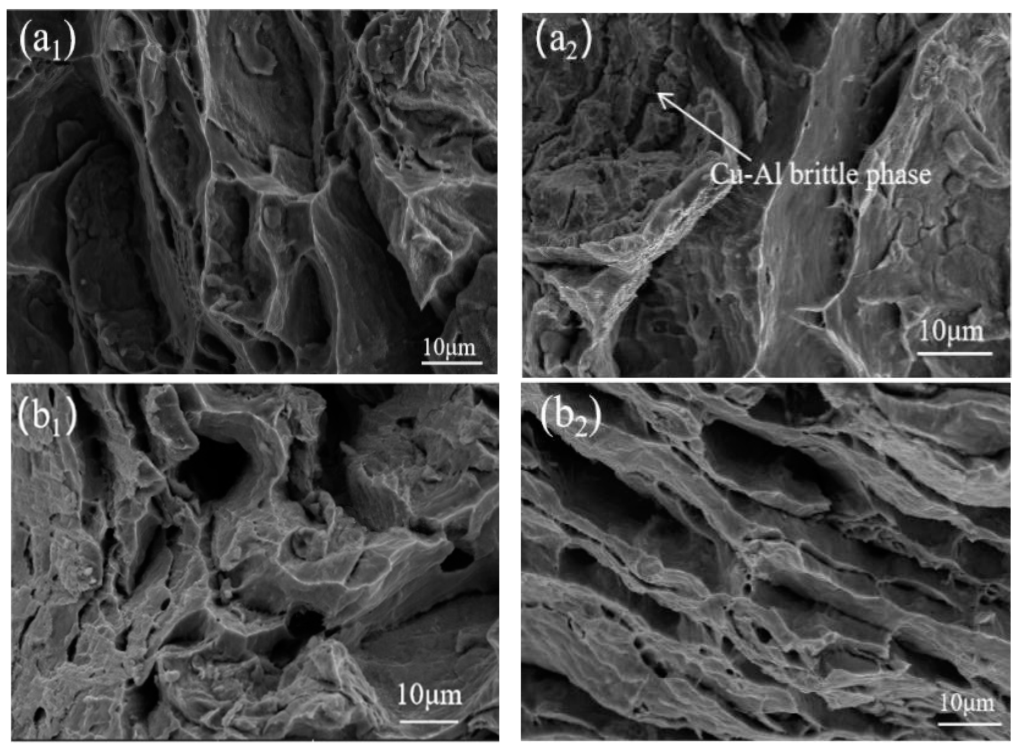 Metals 14 00978 g014a