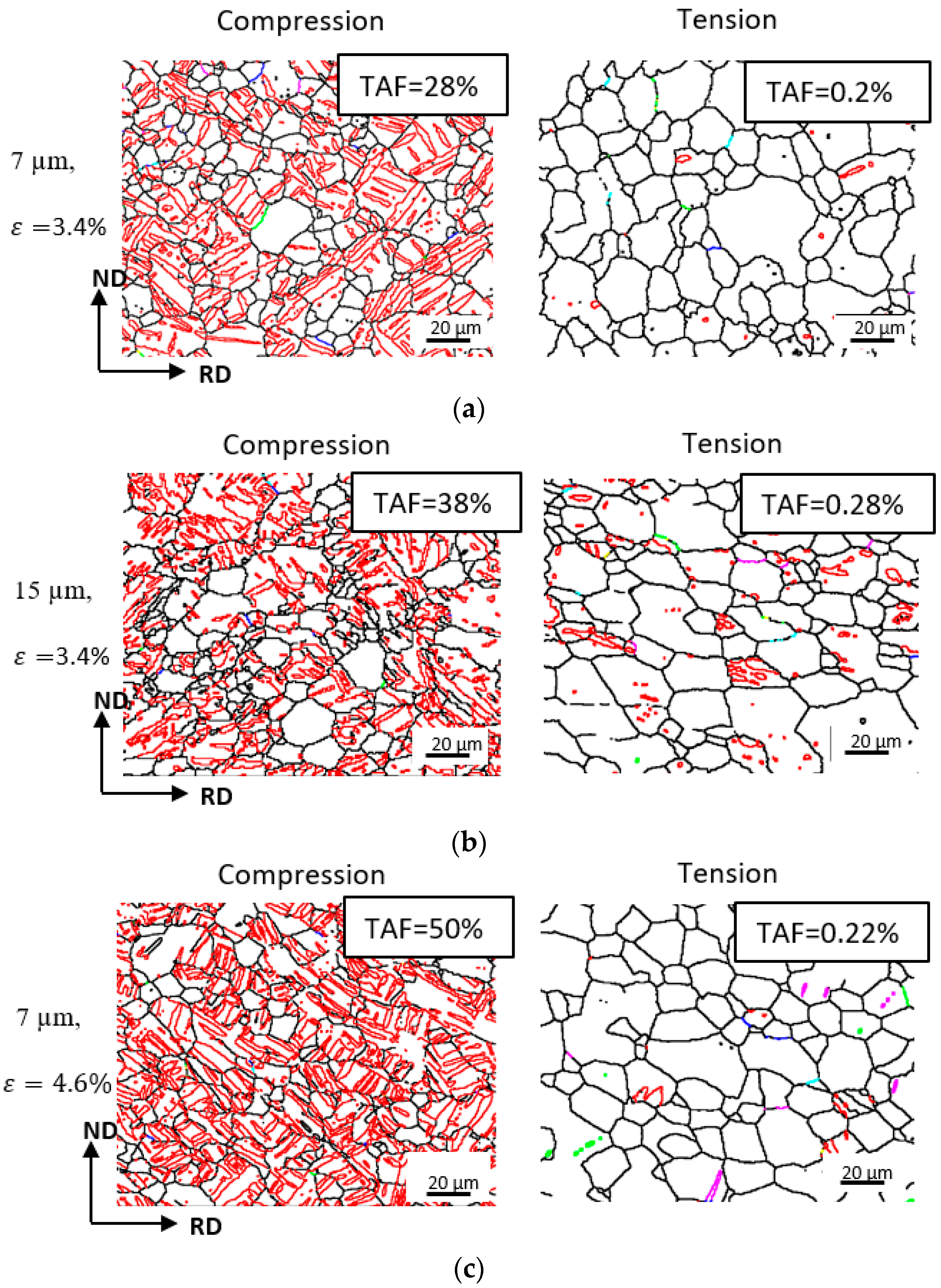 Metals 14 00983 g007