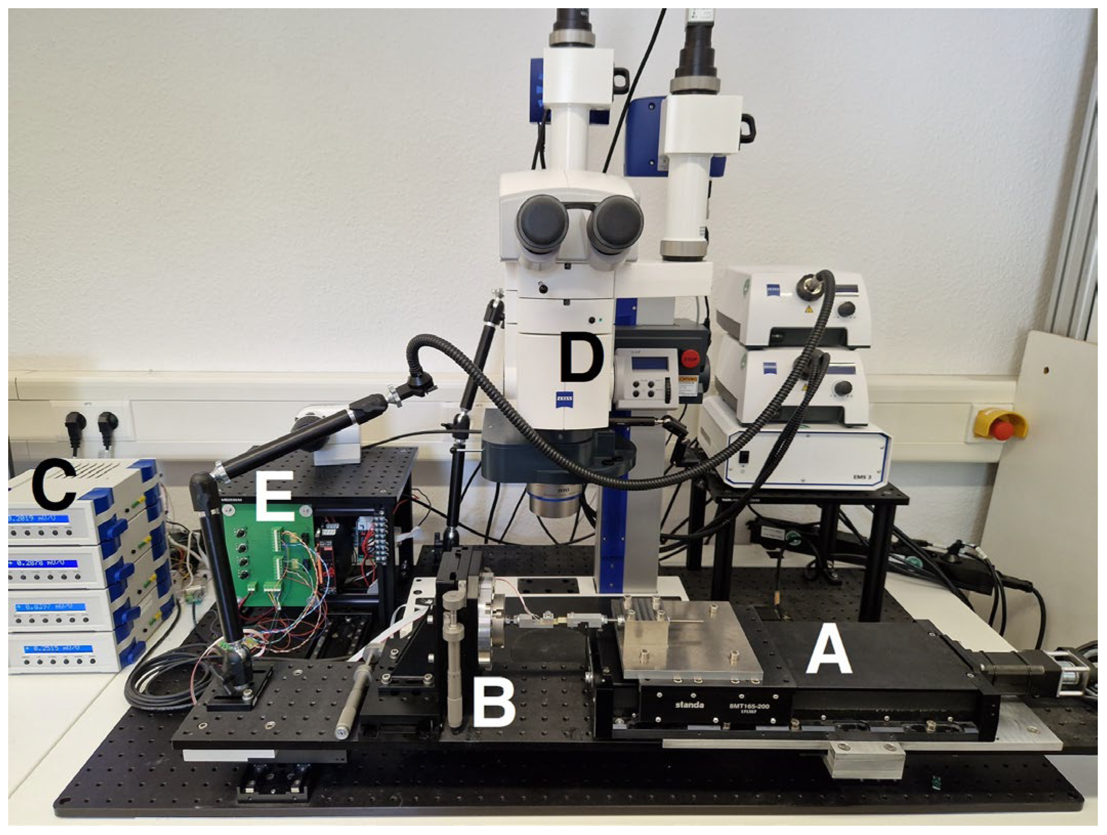 Metals 14 00986 g006