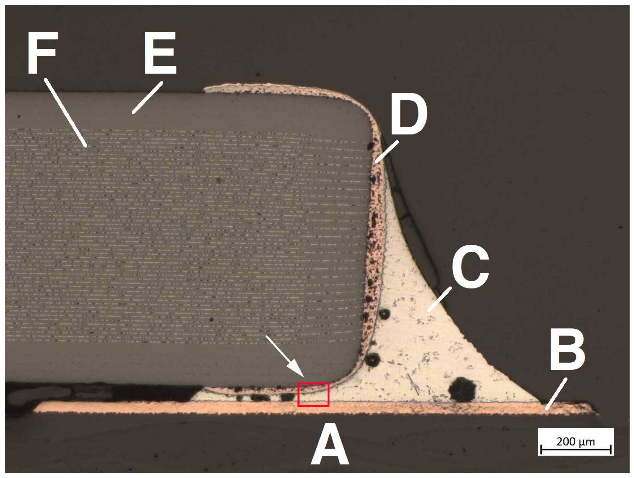 Metals 14 00986 g008