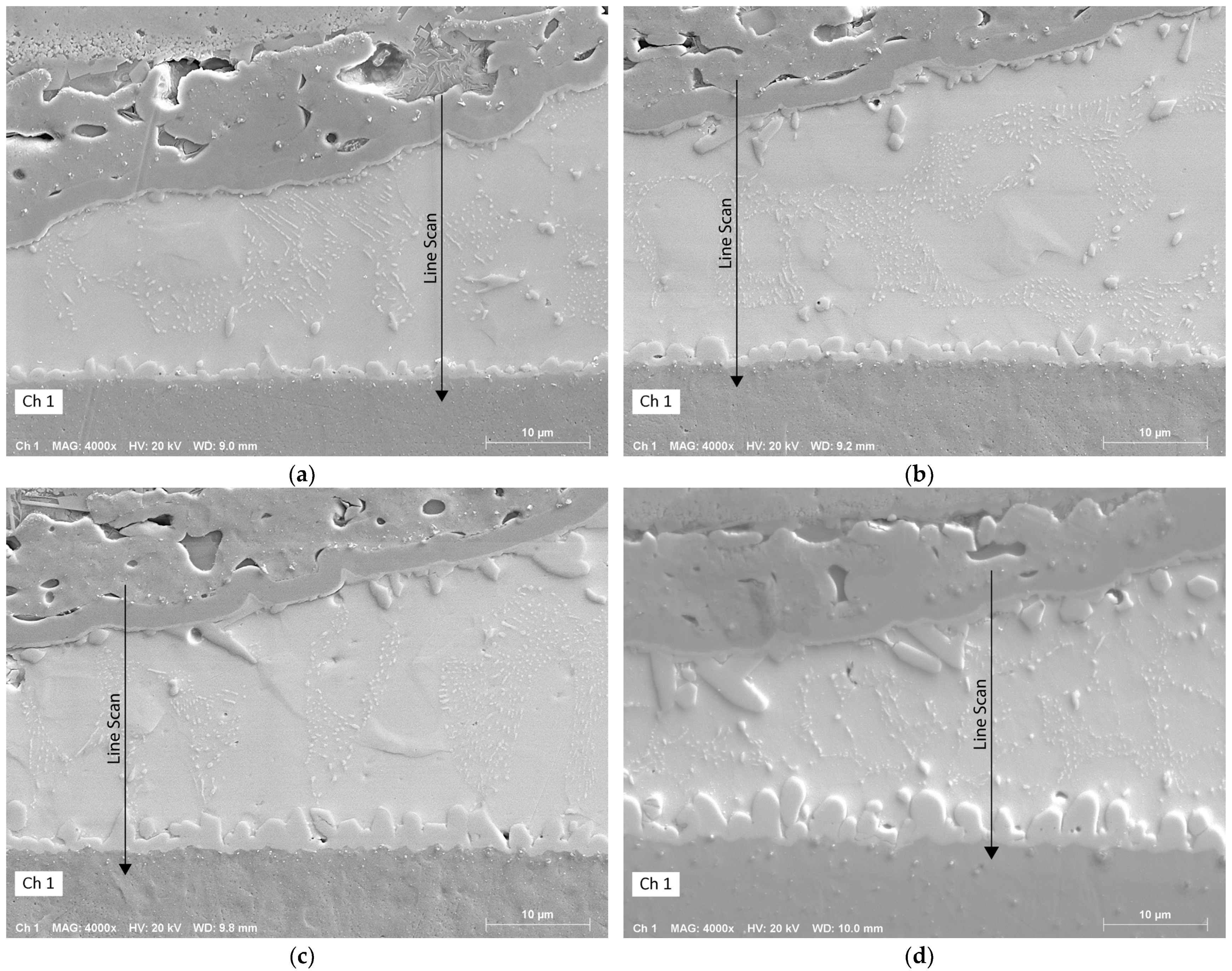 Metals 14 00986 g009