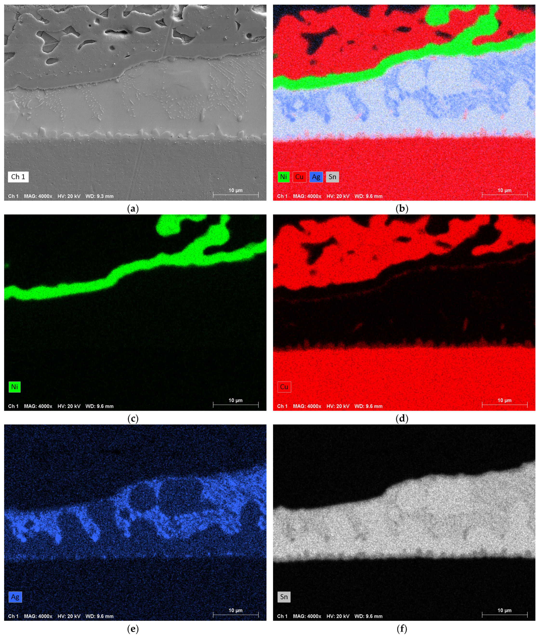 Metals 14 00986 g010