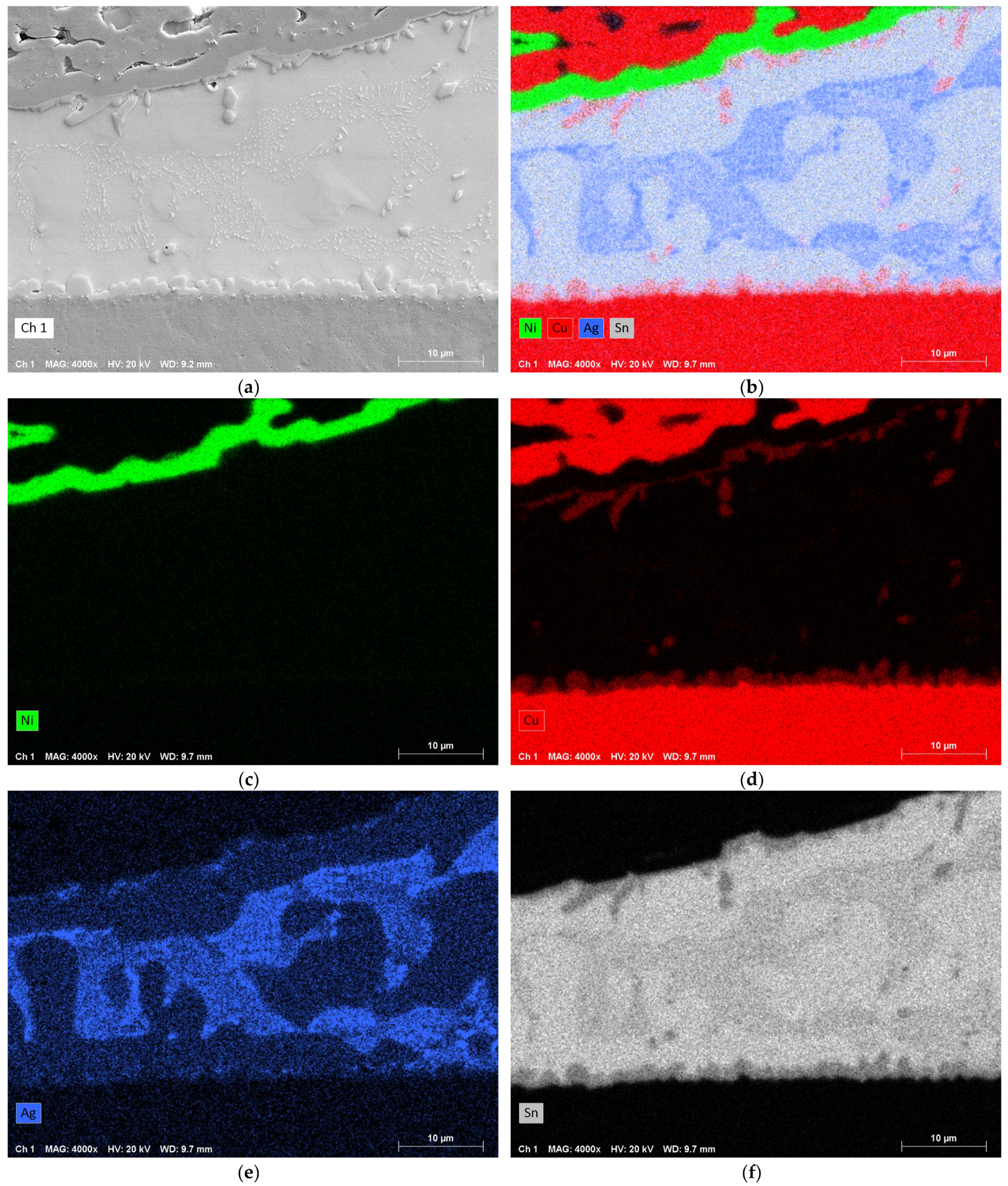 Metals 14 00986 g011