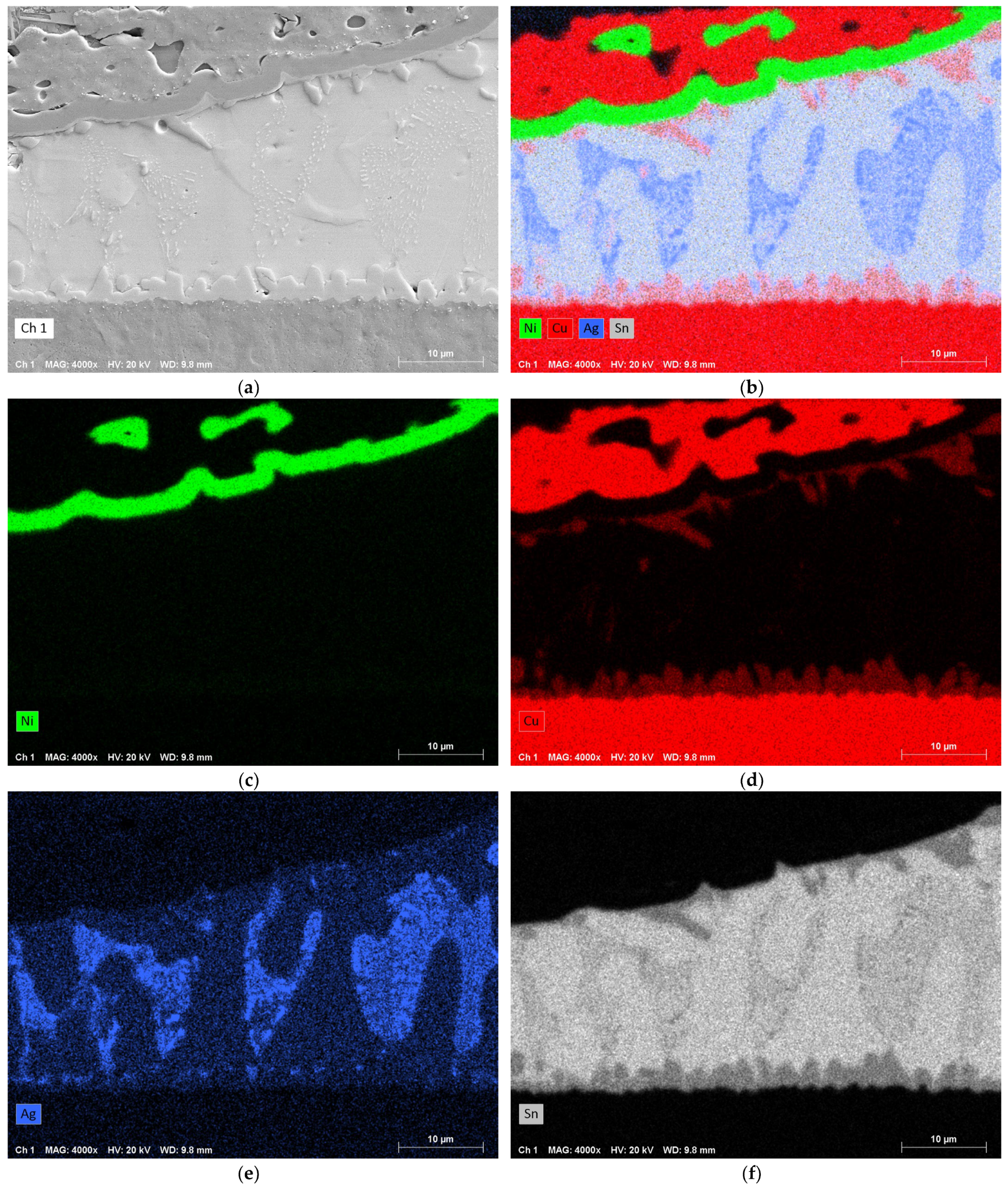Metals 14 00986 g012