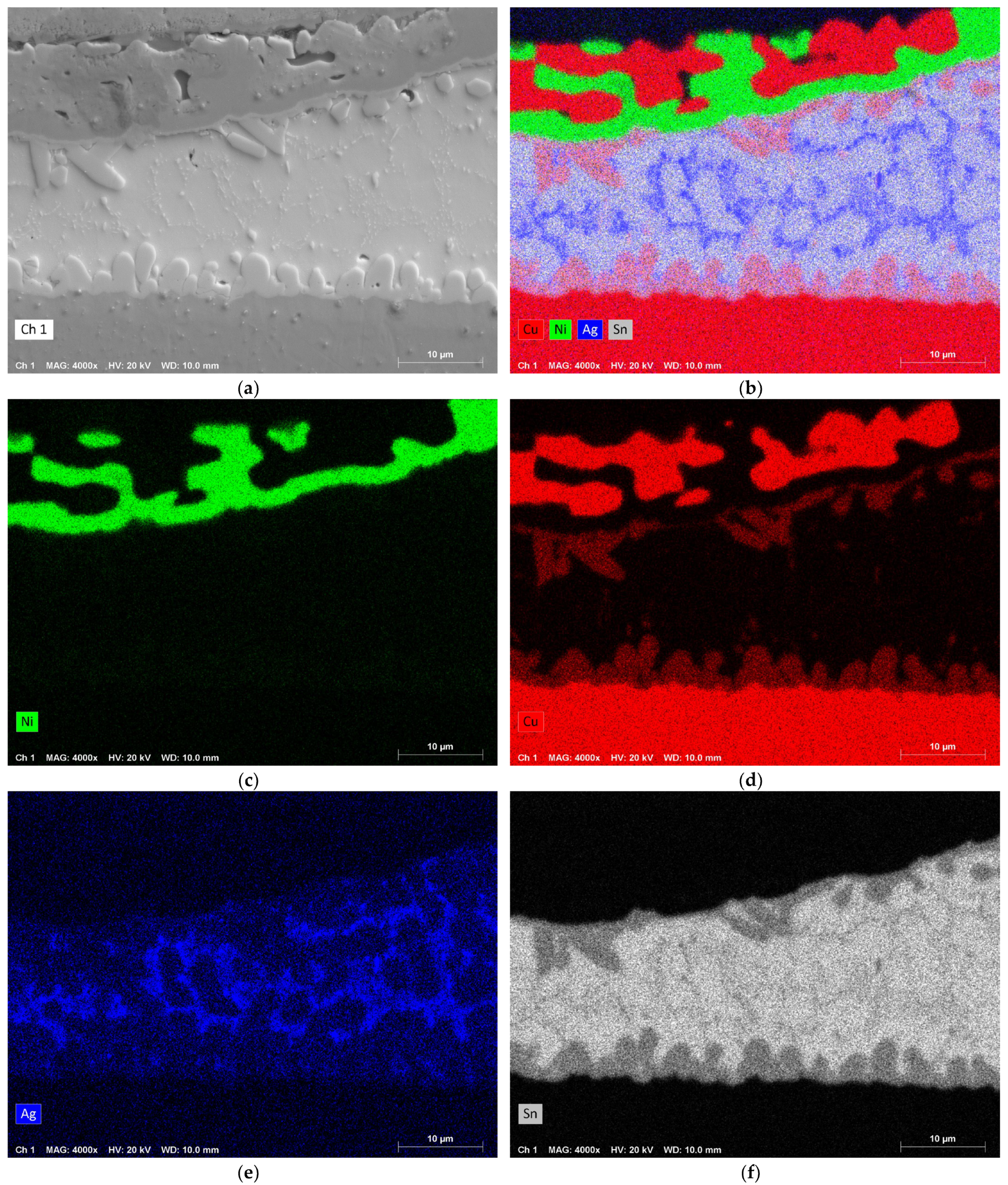 Metals 14 00986 g013