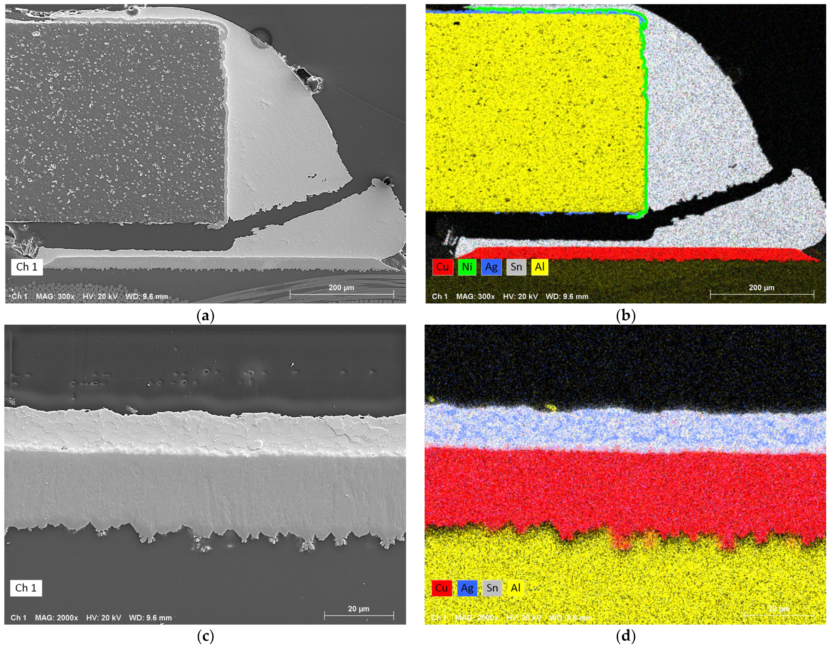 Metals 14 00986 g021