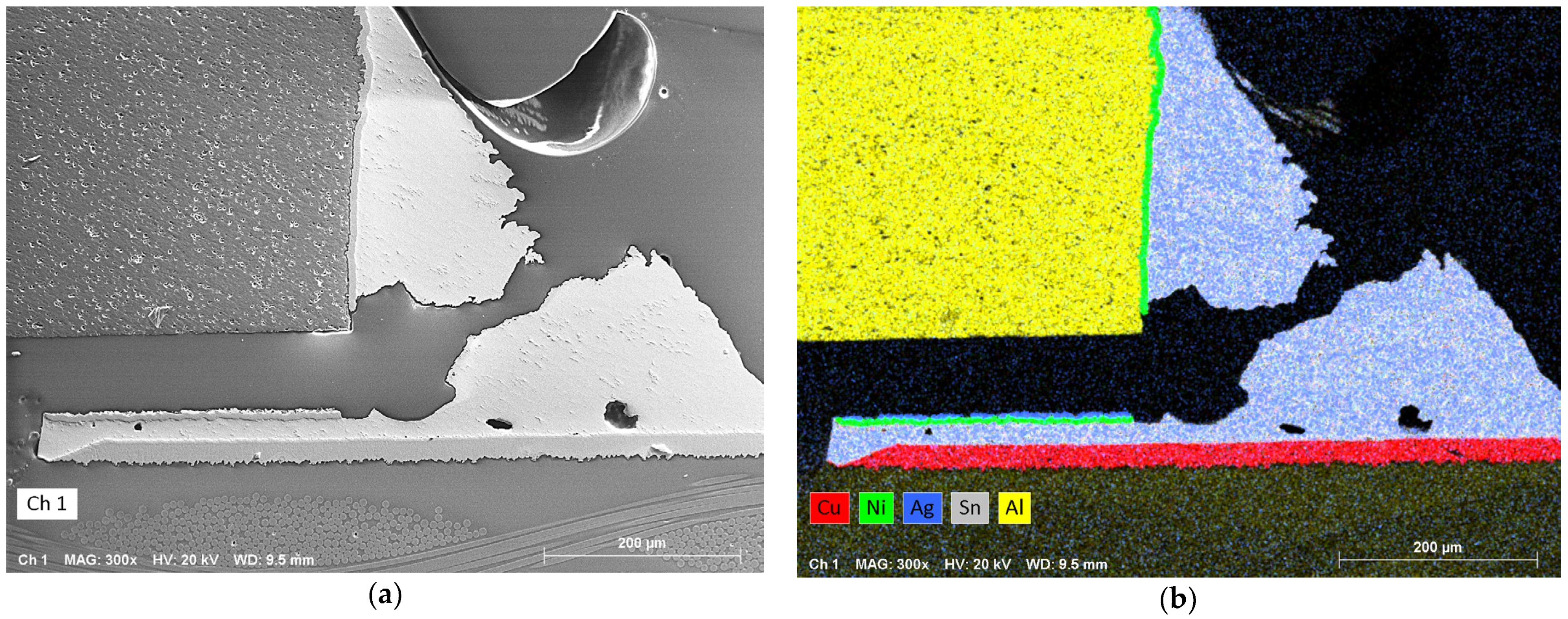 Metals 14 00986 g022a