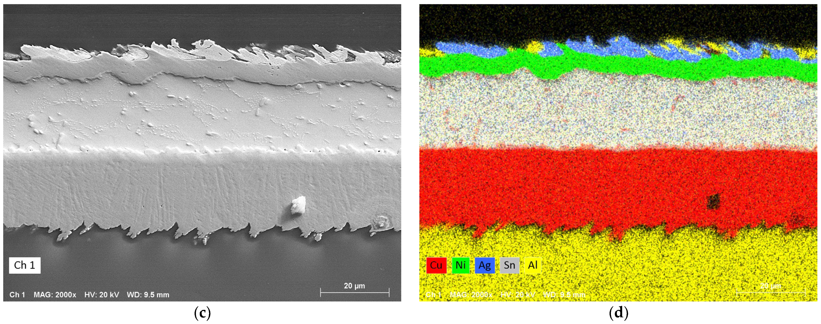 Metals 14 00986 g022b