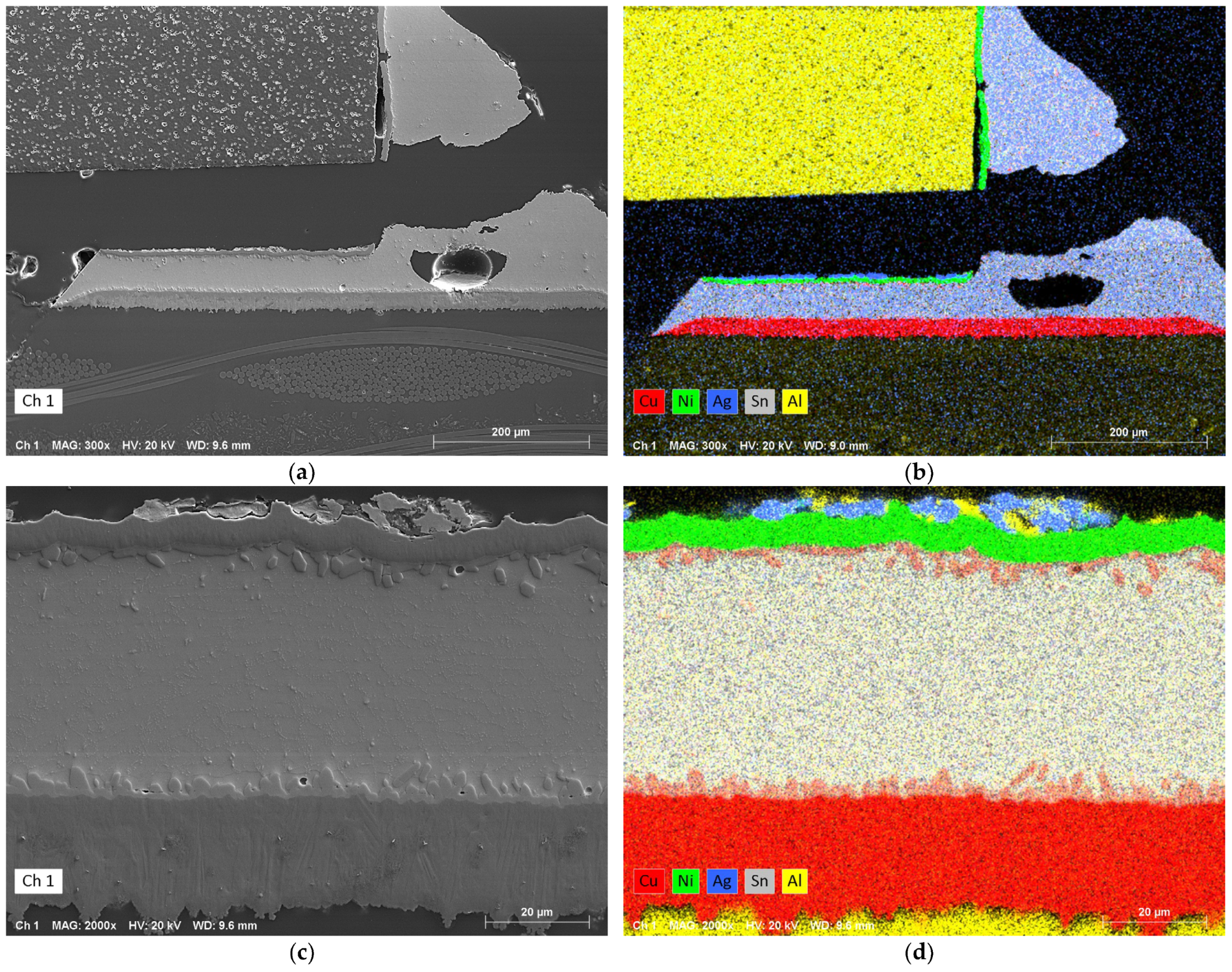 Metals 14 00986 g024