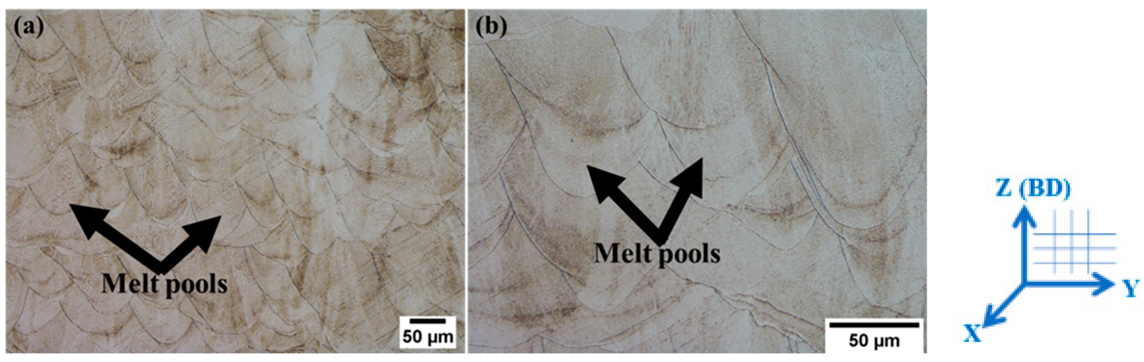 Metals 14 00988 g007