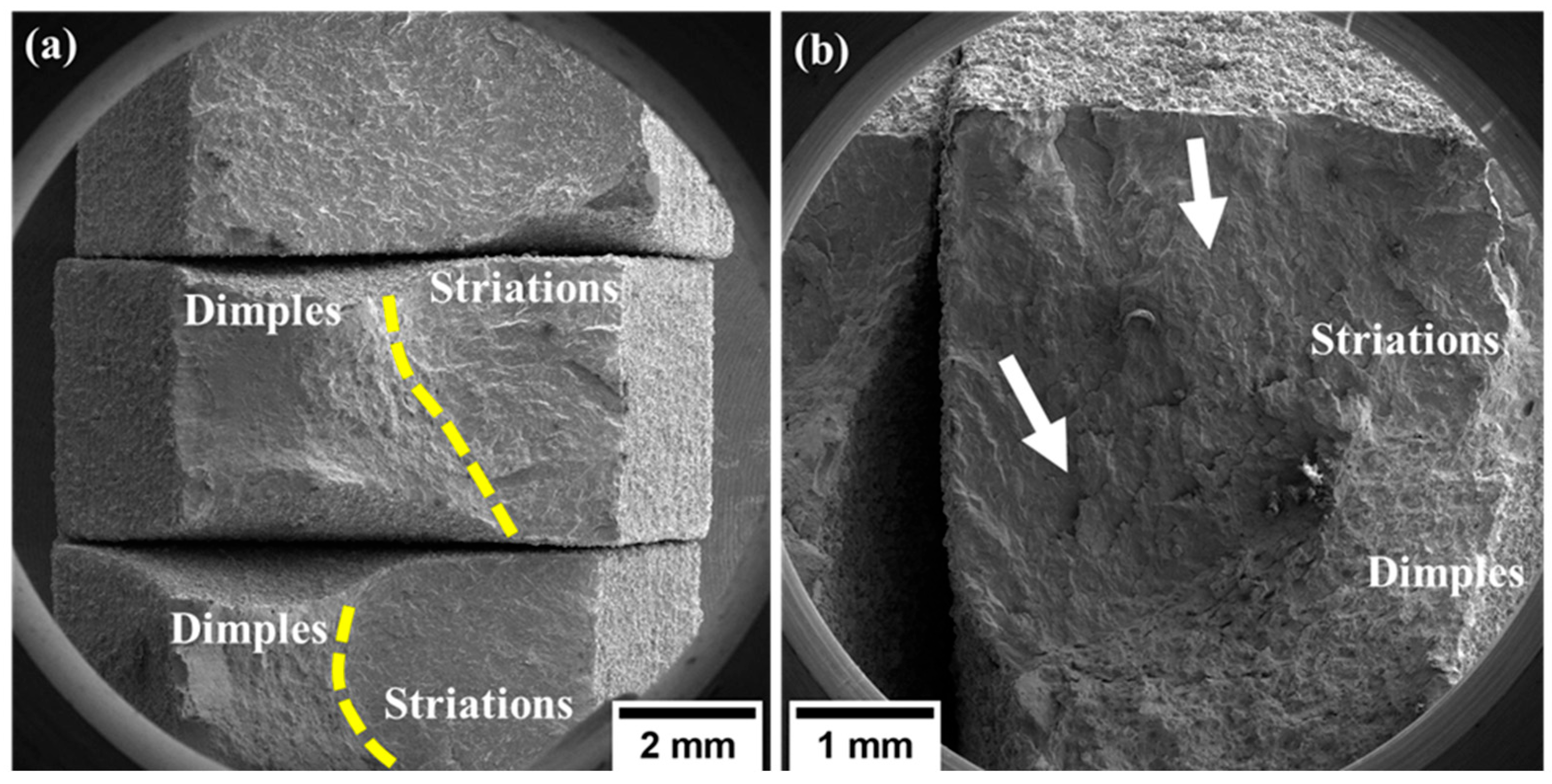 Metals 14 00988 g008