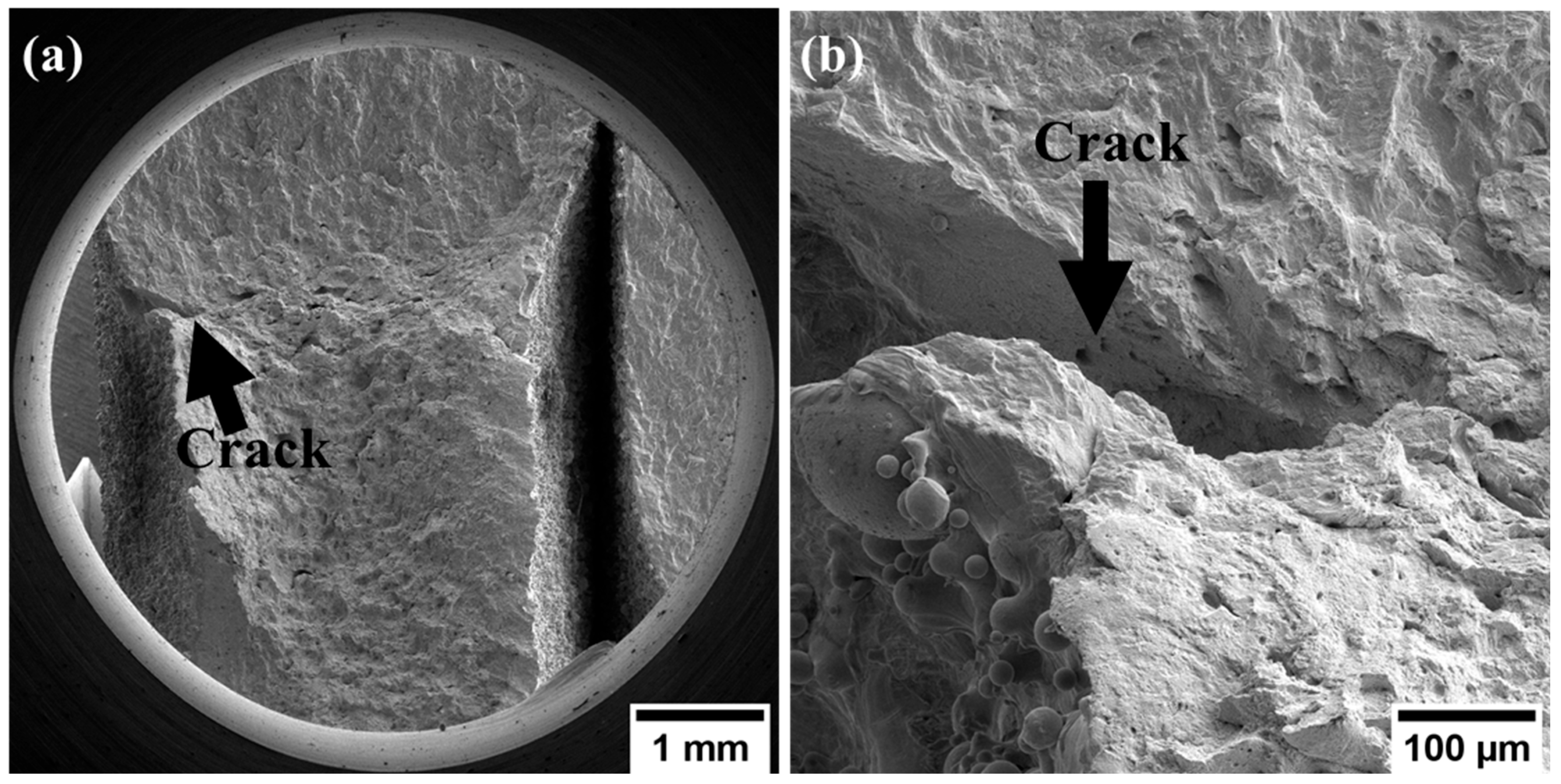 Metals 14 00988 g009