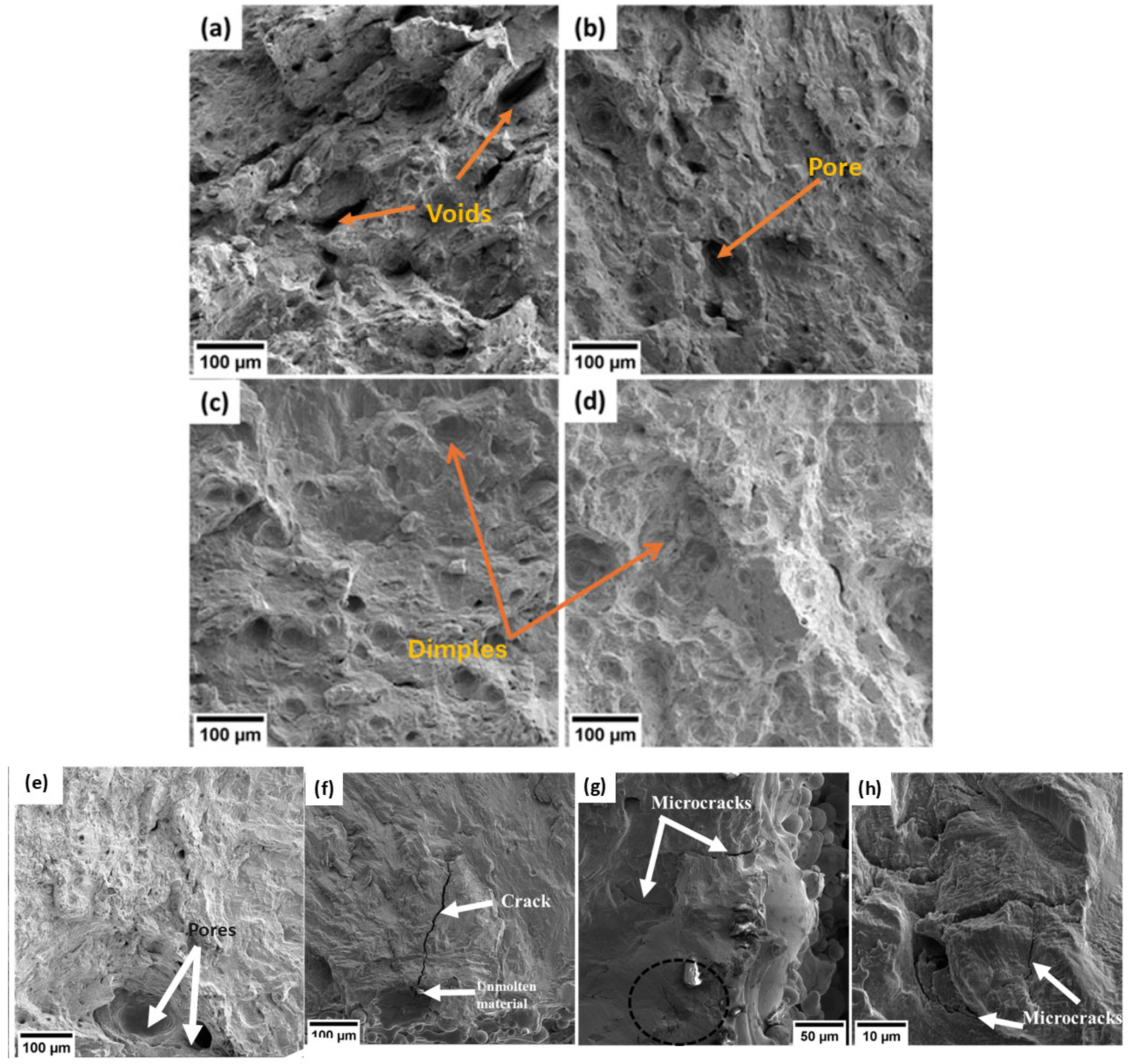 Metals 14 00988 g011