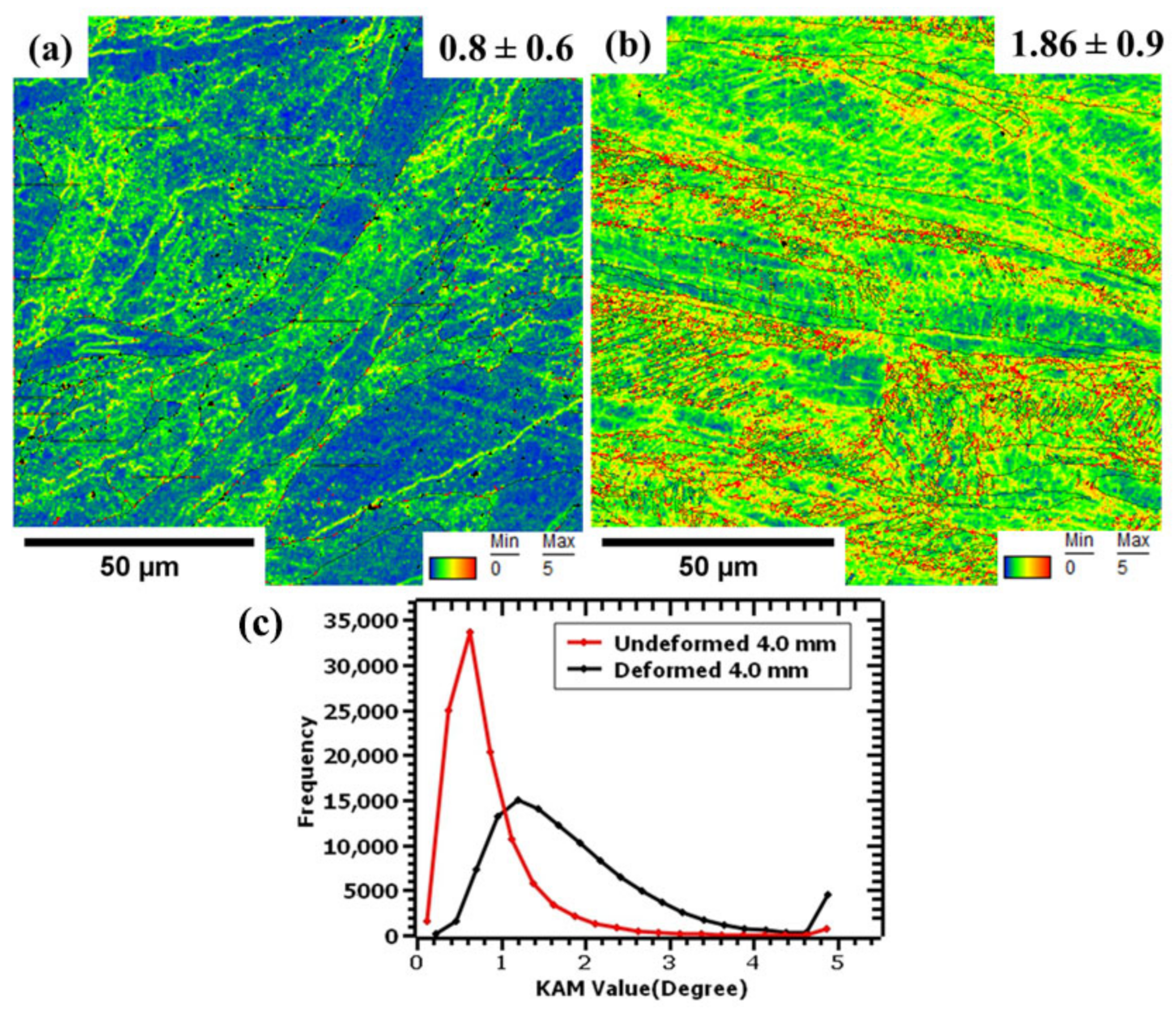 Metals 14 00988 g016