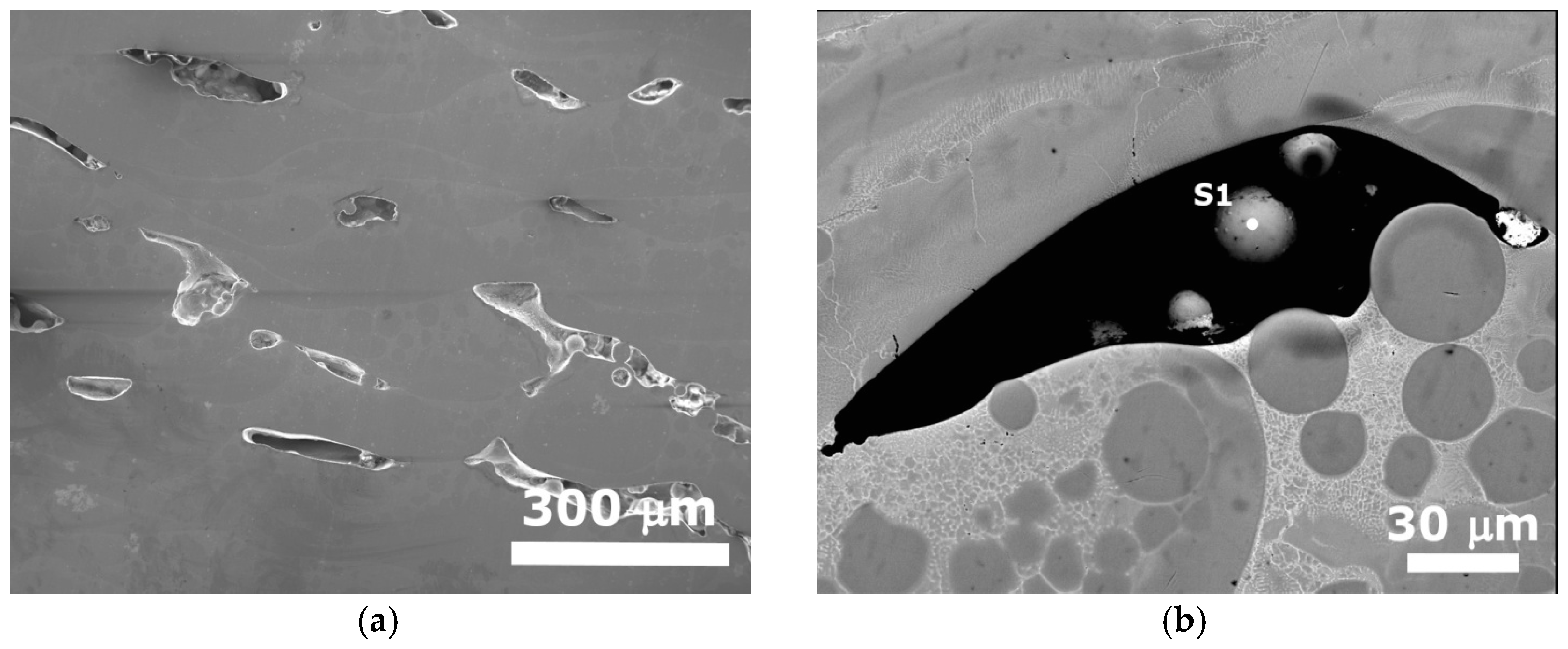 Metals 14 00991 g003a