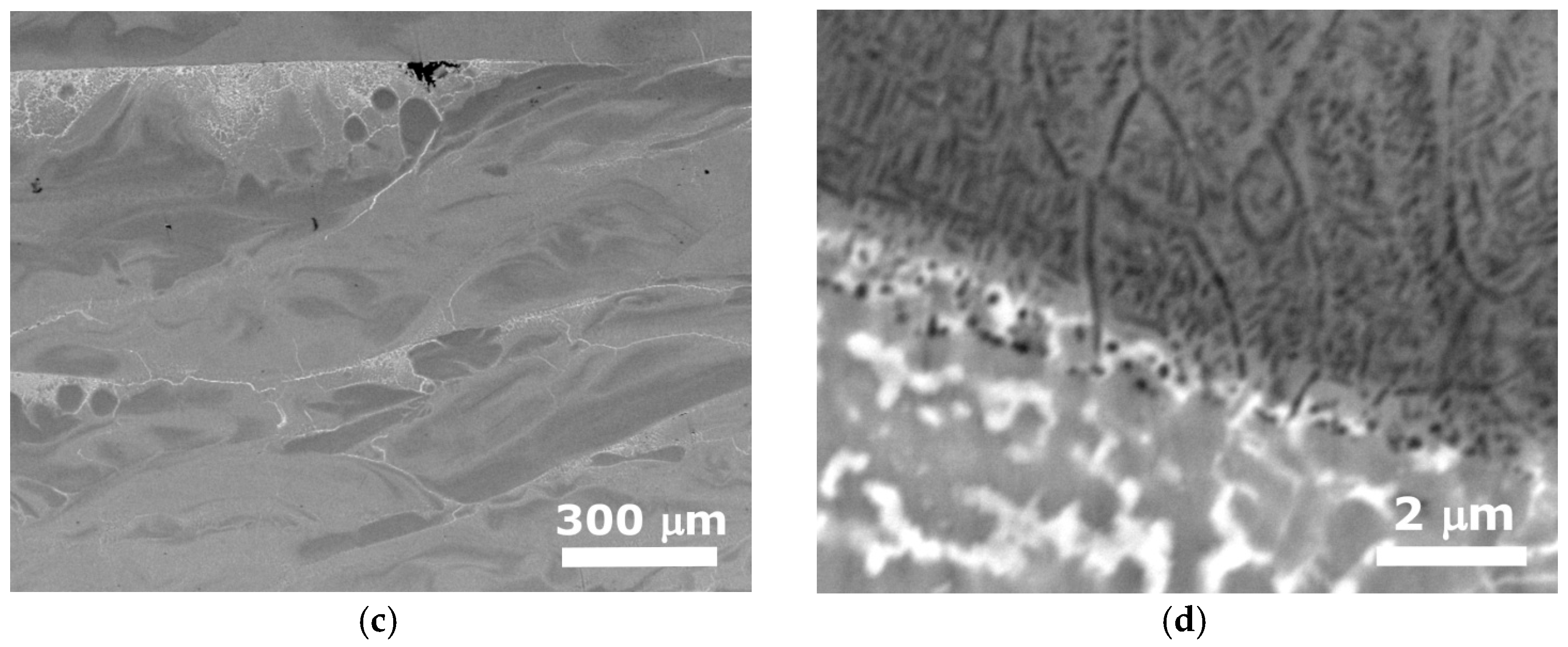 Metals 14 00991 g003b