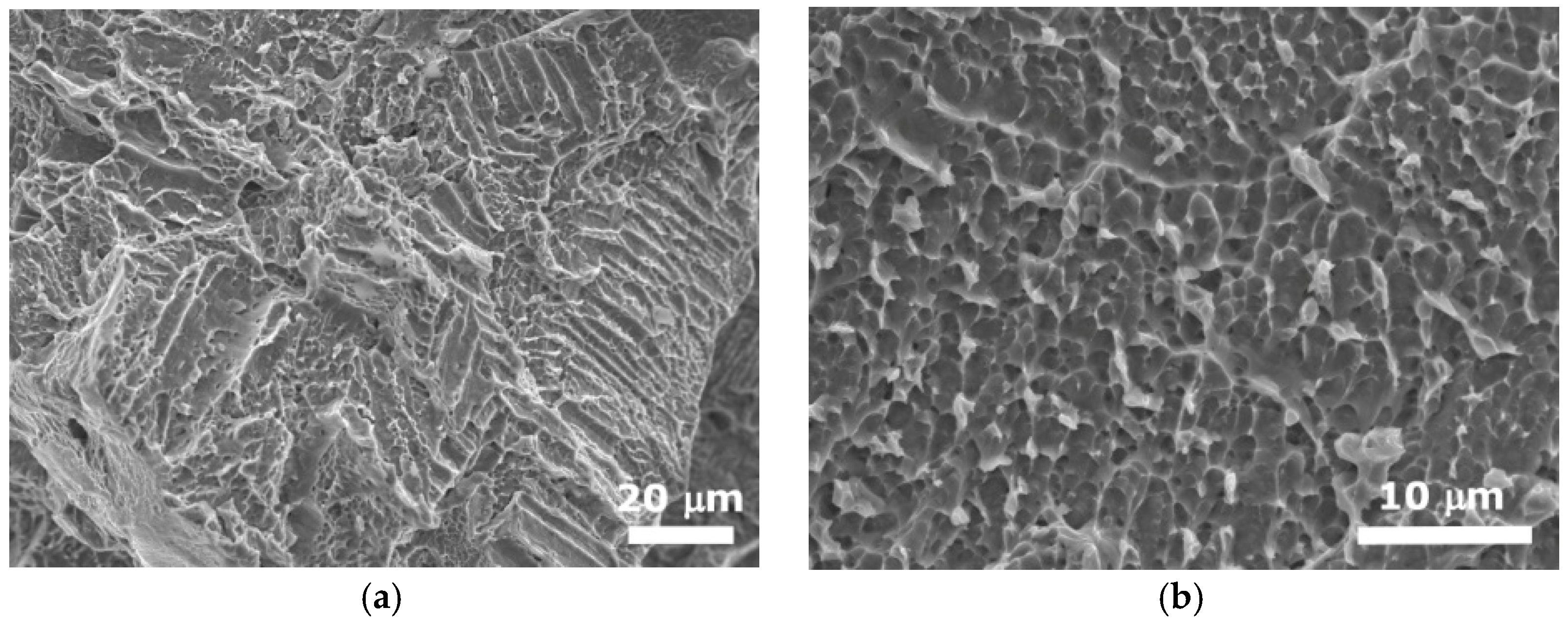 Metals 14 00991 g004