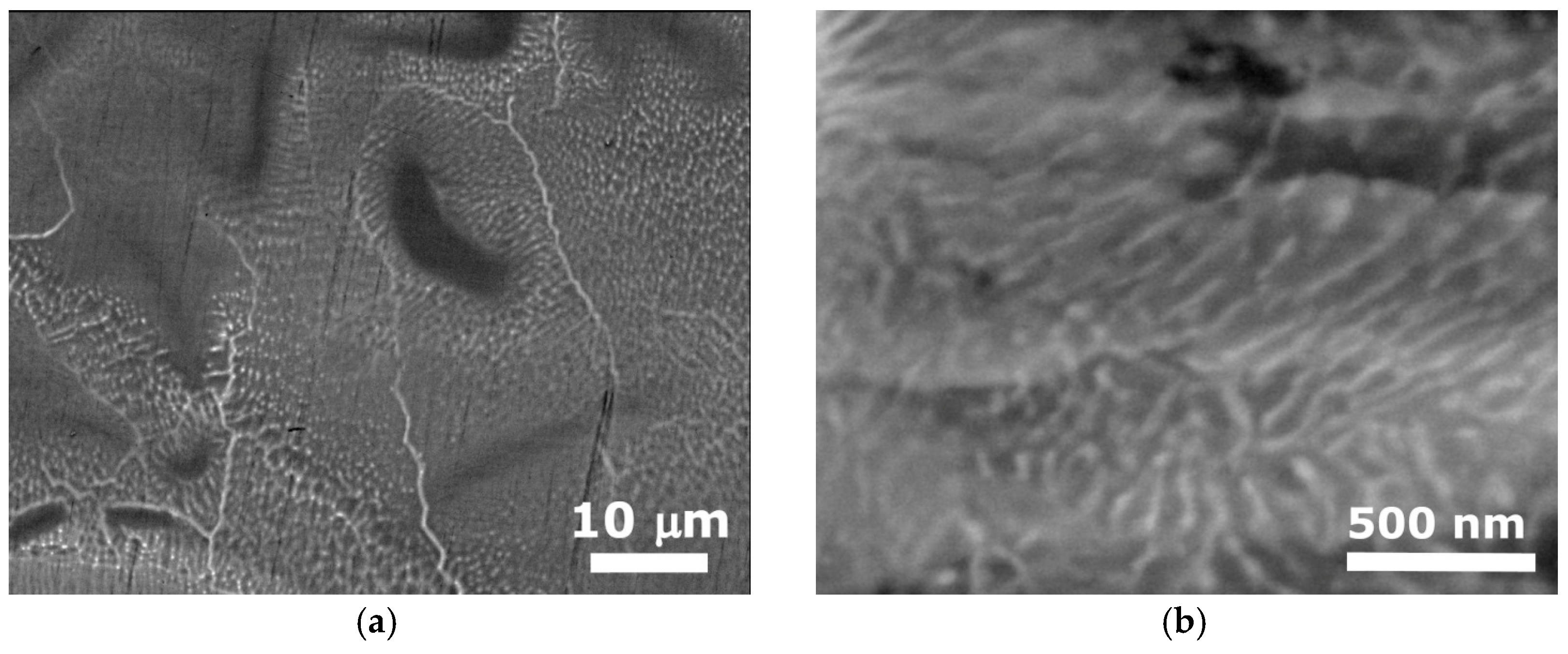 Metals 14 00991 g006