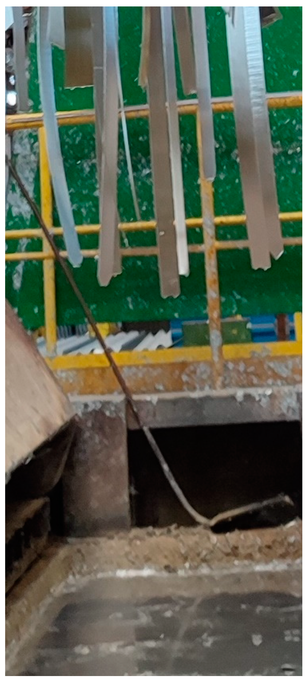 Metals 14 00993 g004