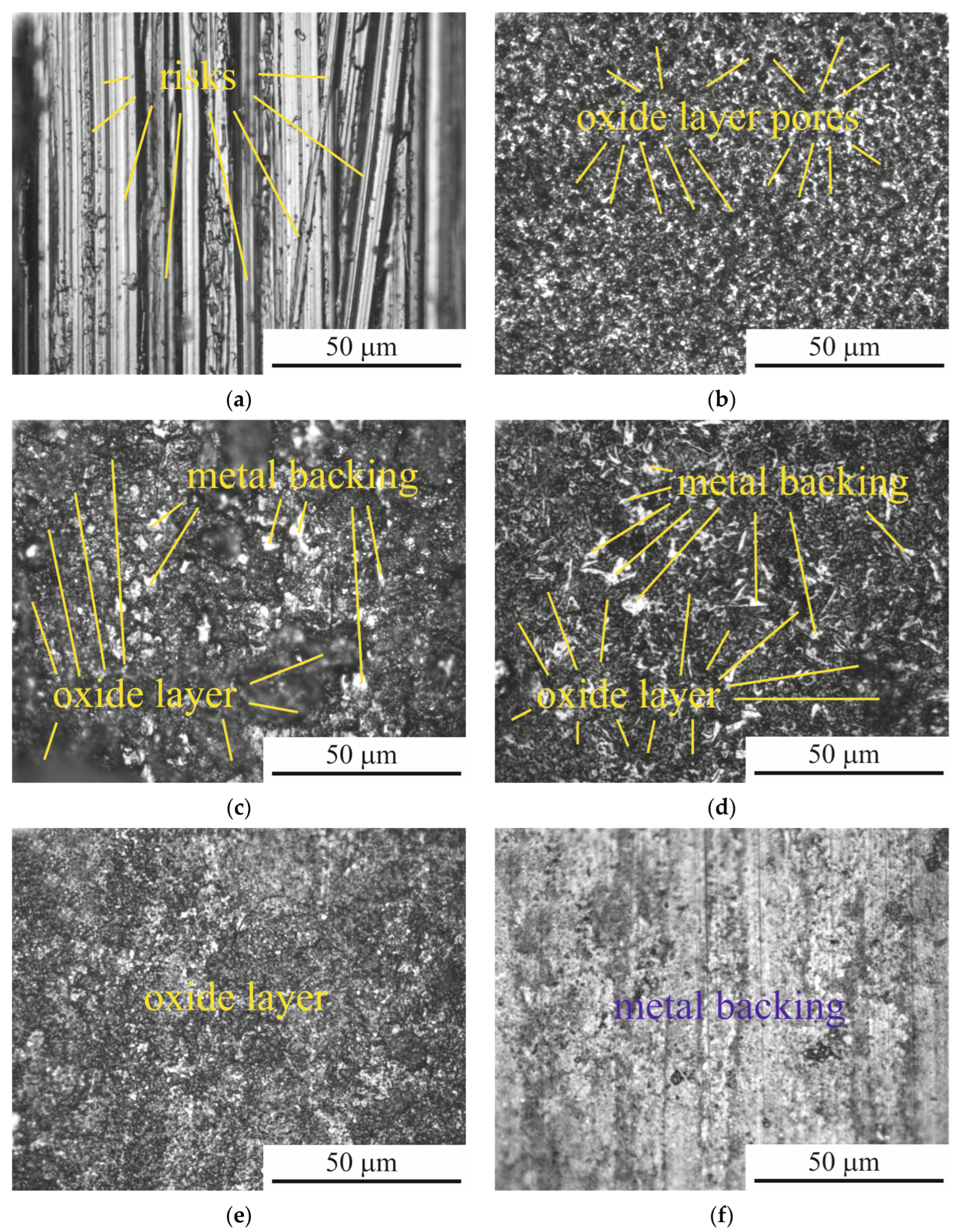 Metals 14 00994 g011