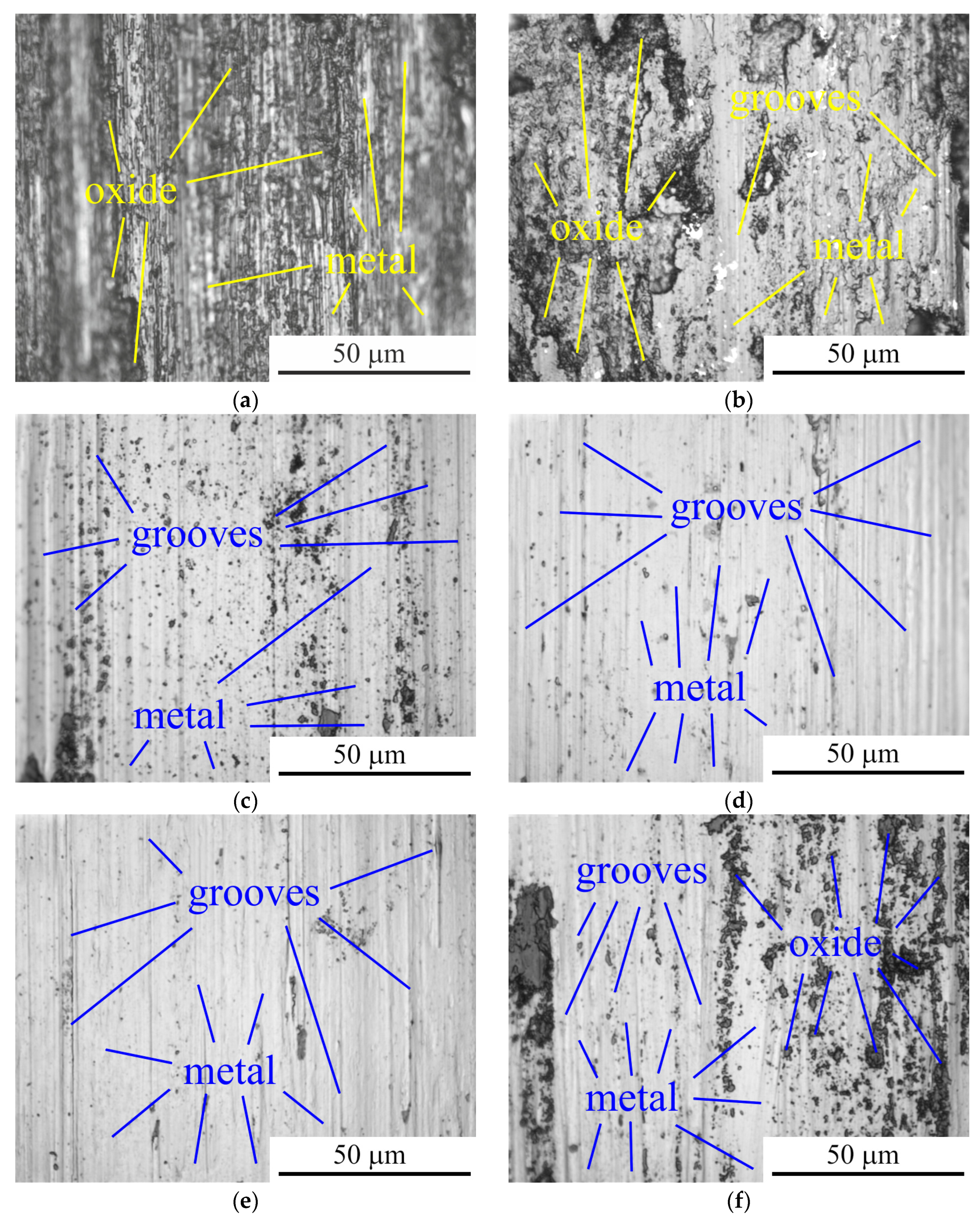 Metals 14 00994 g014
