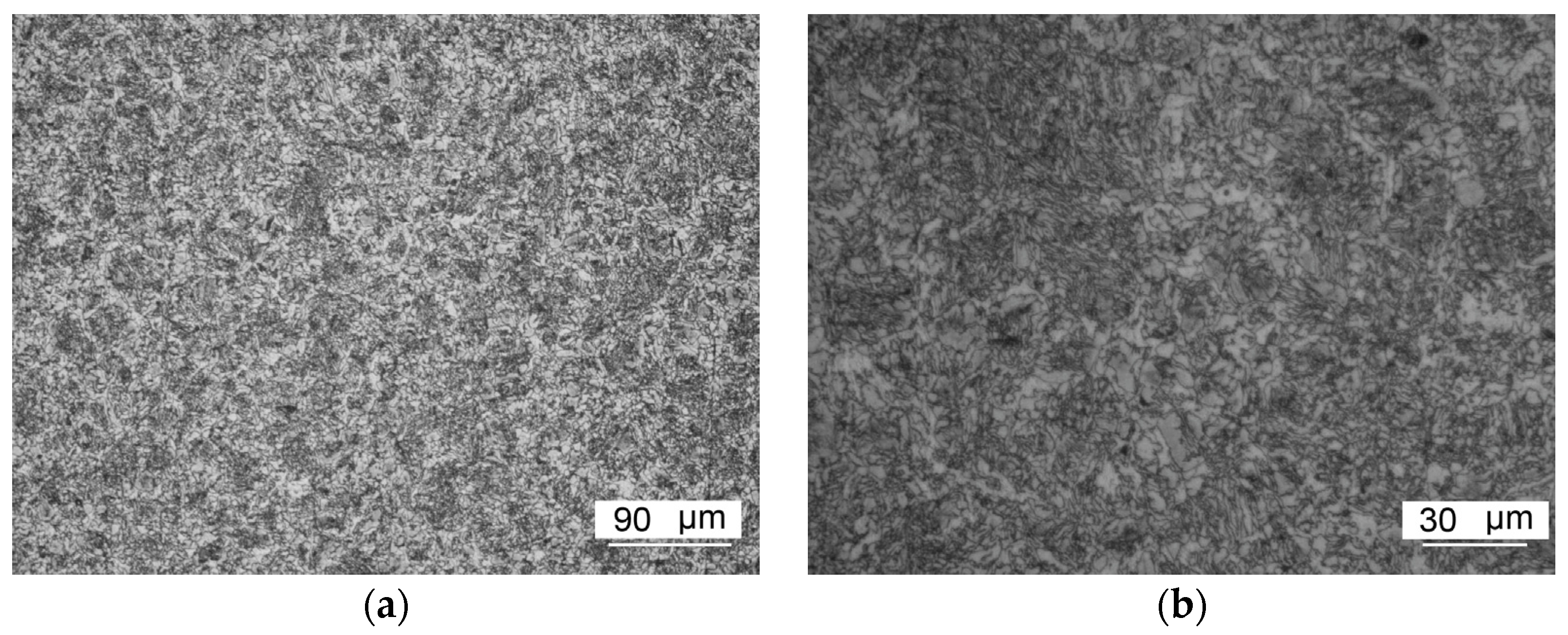 Metals 14 00995 g004