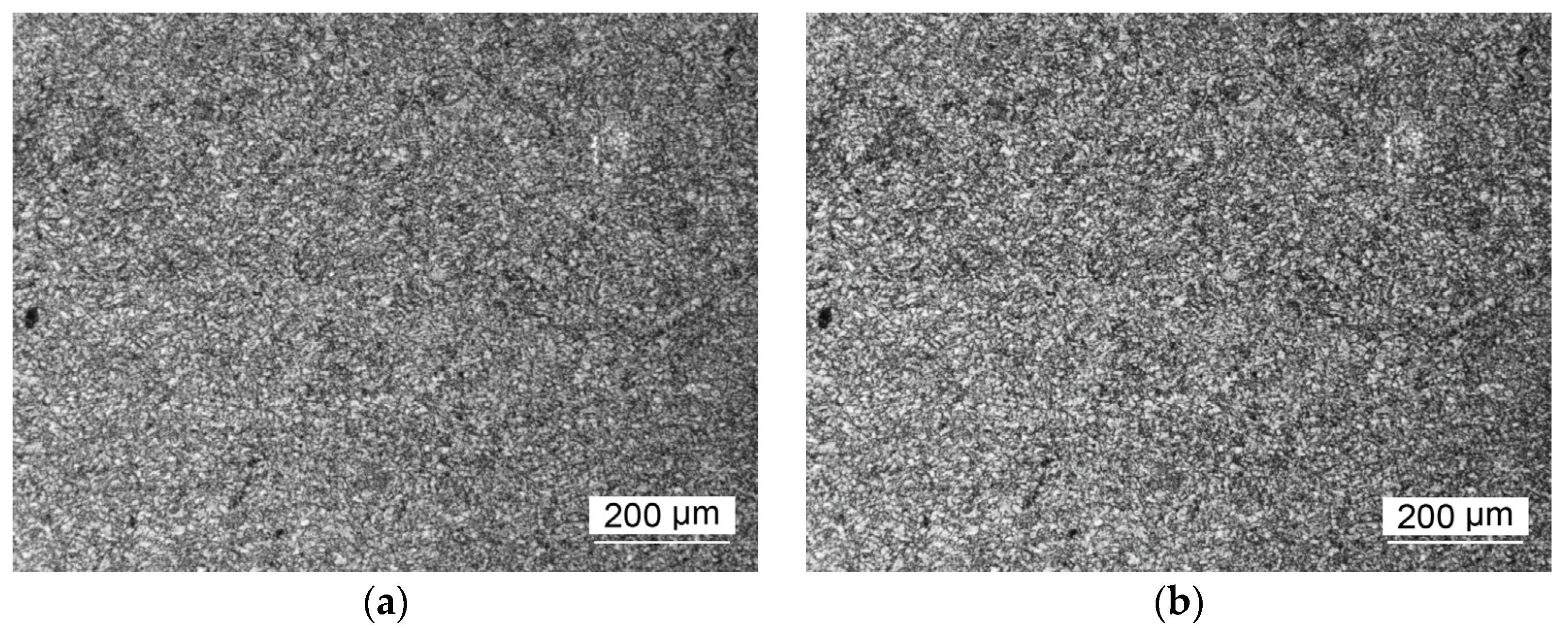 Metals 14 00995 g008