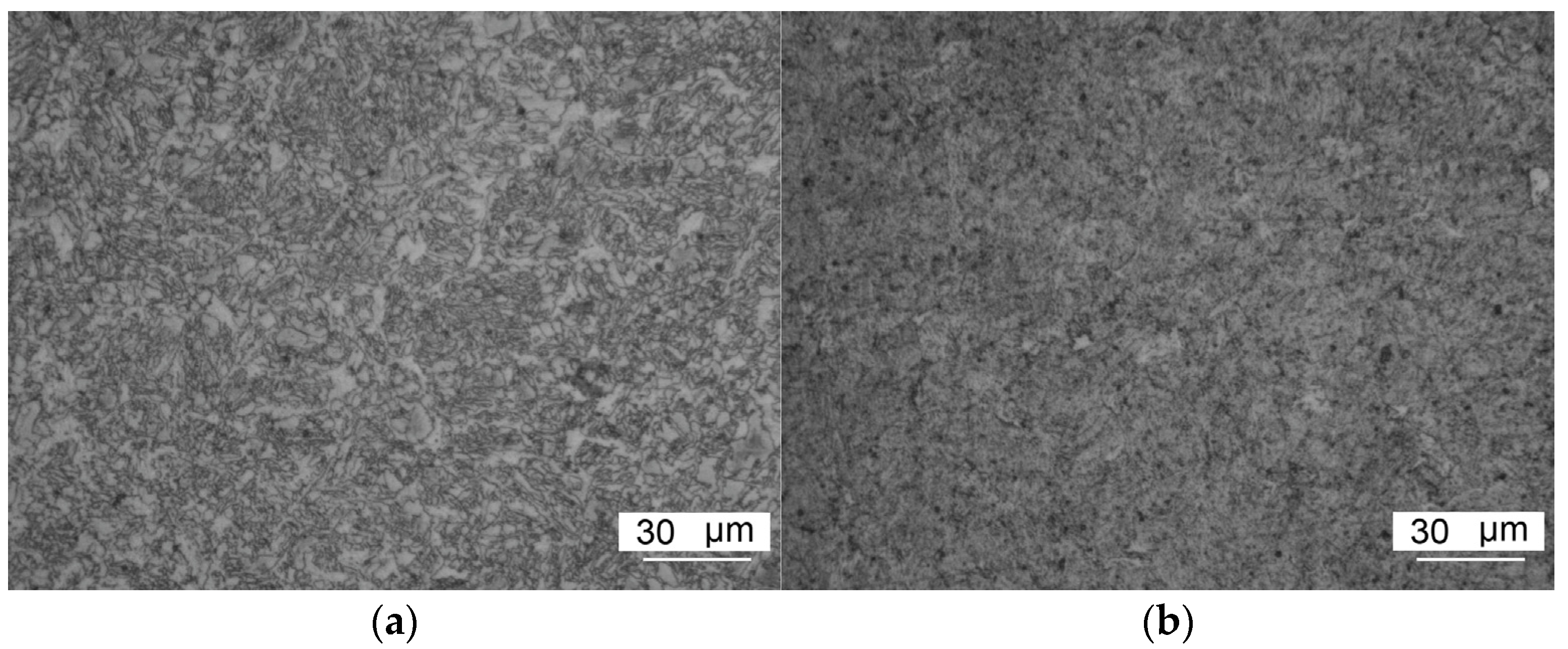 Metals 14 00995 g012