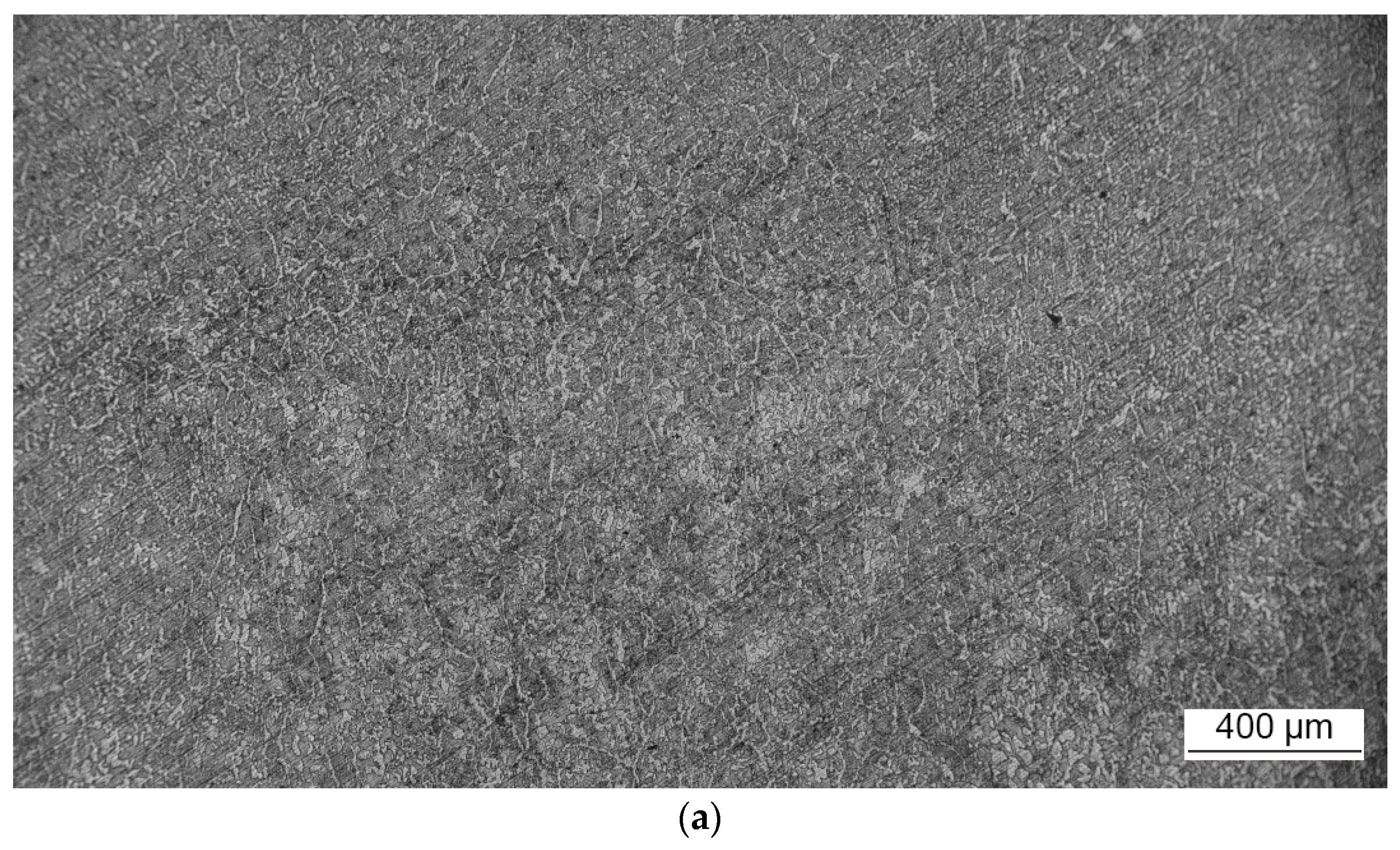 Metals 14 00995 g015a